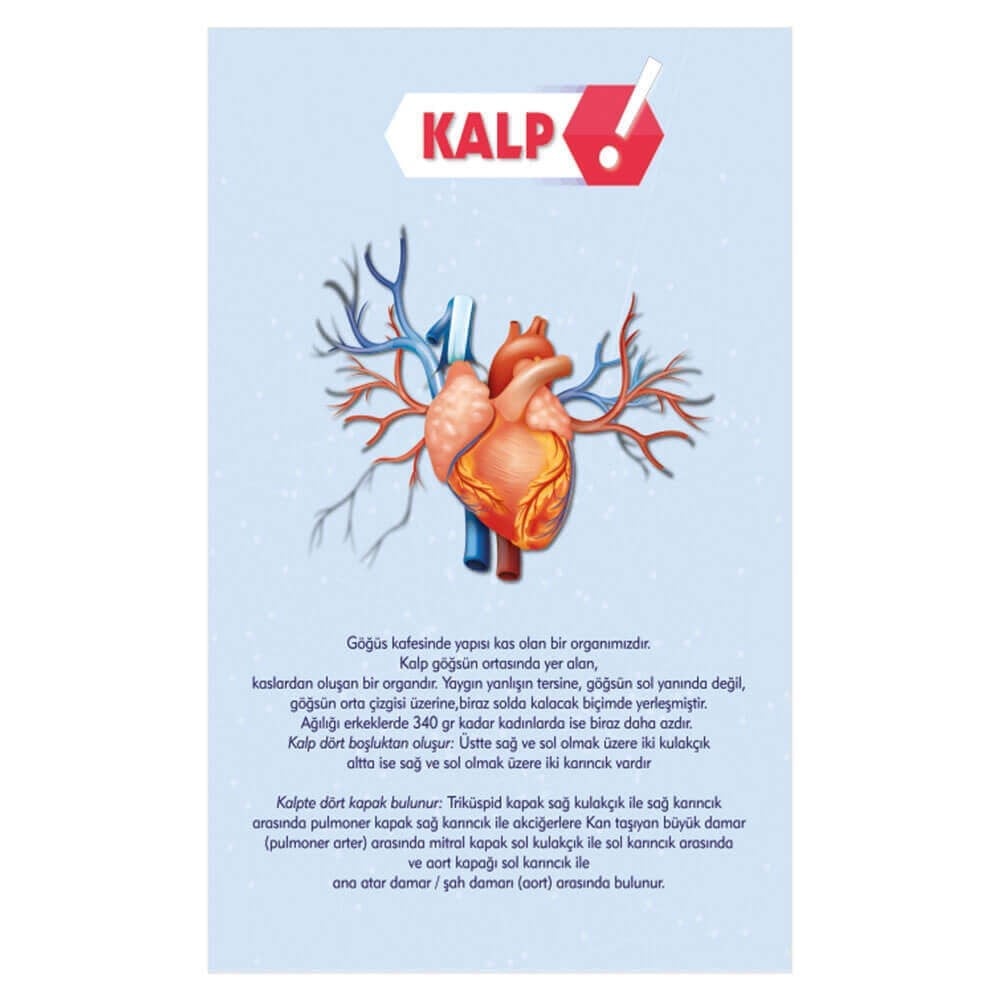 Kalp Afişi