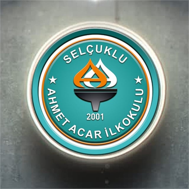 Okul Işıklı Logo Tabela