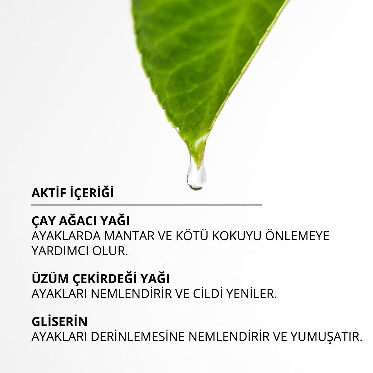manikur-pedikur-bakim-urunlerimomomomo-70dd2f.jpg
