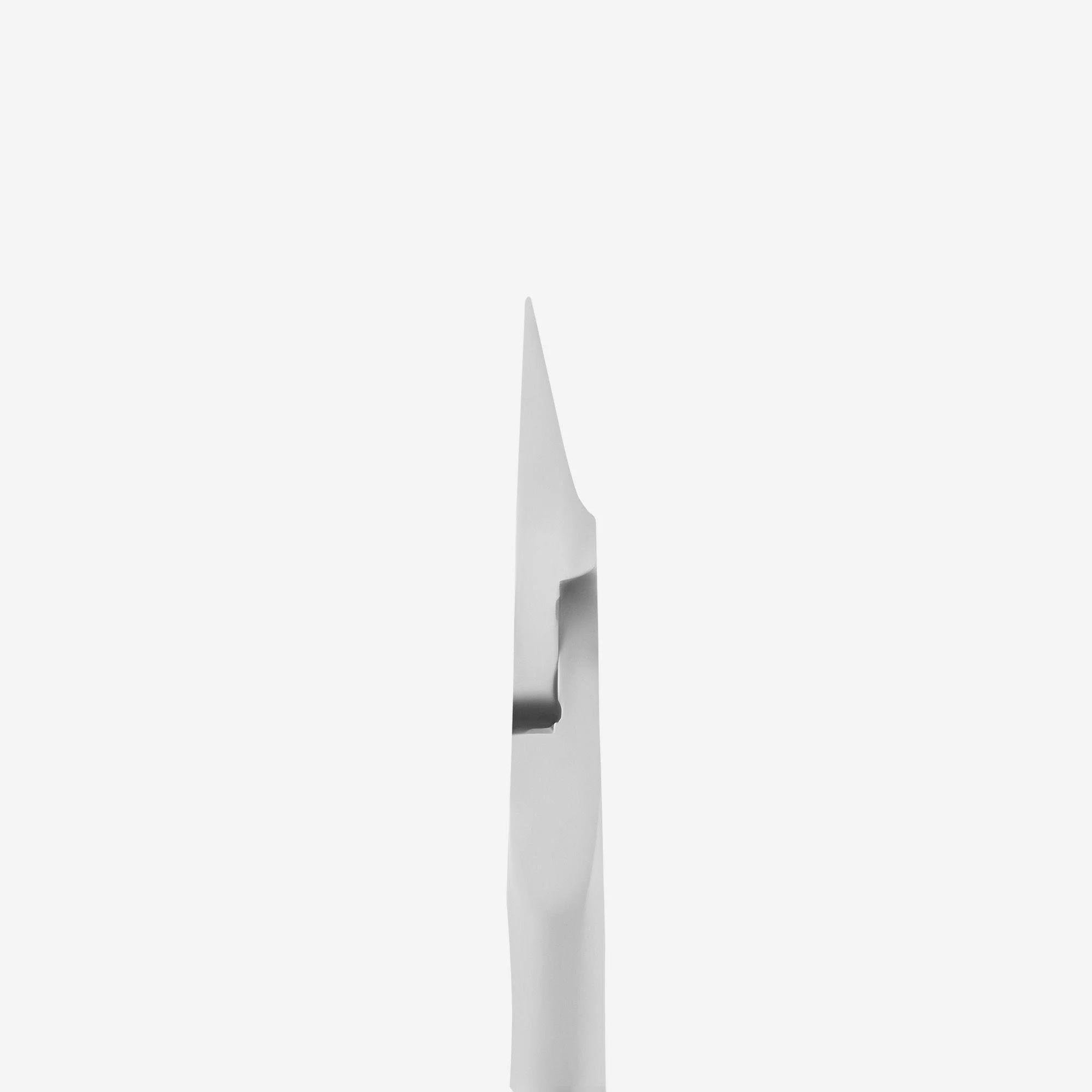 Staleks Pro Expert NE-61-12 tırnak pensi – 12 mm bıçak, ergonomik uzatılmış saplar, paslanmaz yüksek alaşım çelik, profesyonel manikür için