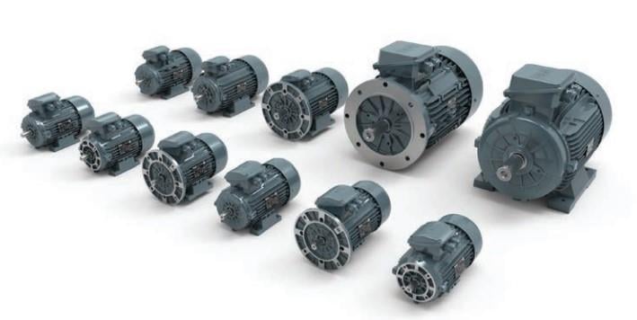 15 kW 3000 d/d 160 Gövde 3 Fazlı AC Elektrik Motoru