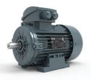 18,5 kW 3000 d/d 160 Gövde 3 Fazlı AC Elektrik Motoru