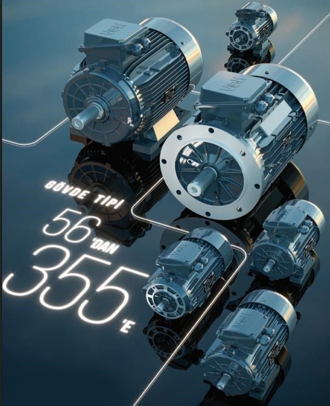 22 kW 1000 d/d 200 Gövde 3 Fazlı AC Elektrik Motoru