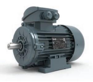 22 kW 1000 d/d 200 Gövde 3 Fazlı AC Elektrik Motoru