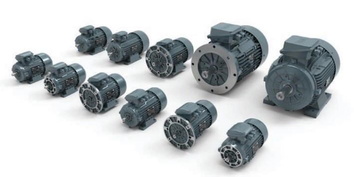 30 kW 1500 d/d 200 Gövde 3 Fazlı AC Elektrik Motoru
