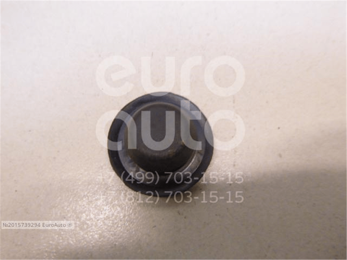 OPEL PLUG