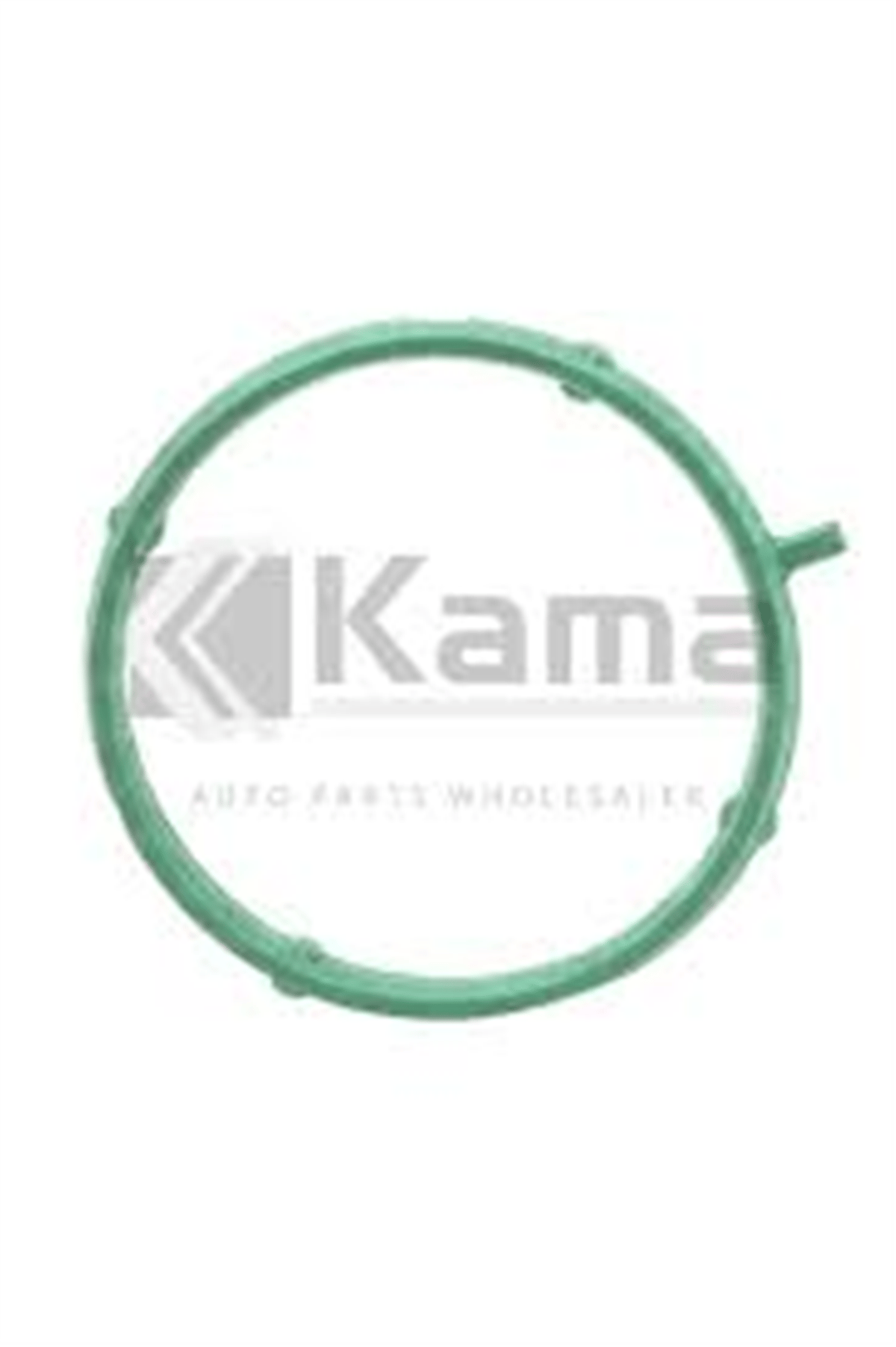 OPEL SEAL RING 4802059