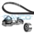 RENAULT CLIO/KANGO/MEGAN/SOLENZA 1997 SONRASI TRIGER SETI+DEVIRDAIM 7700273277
