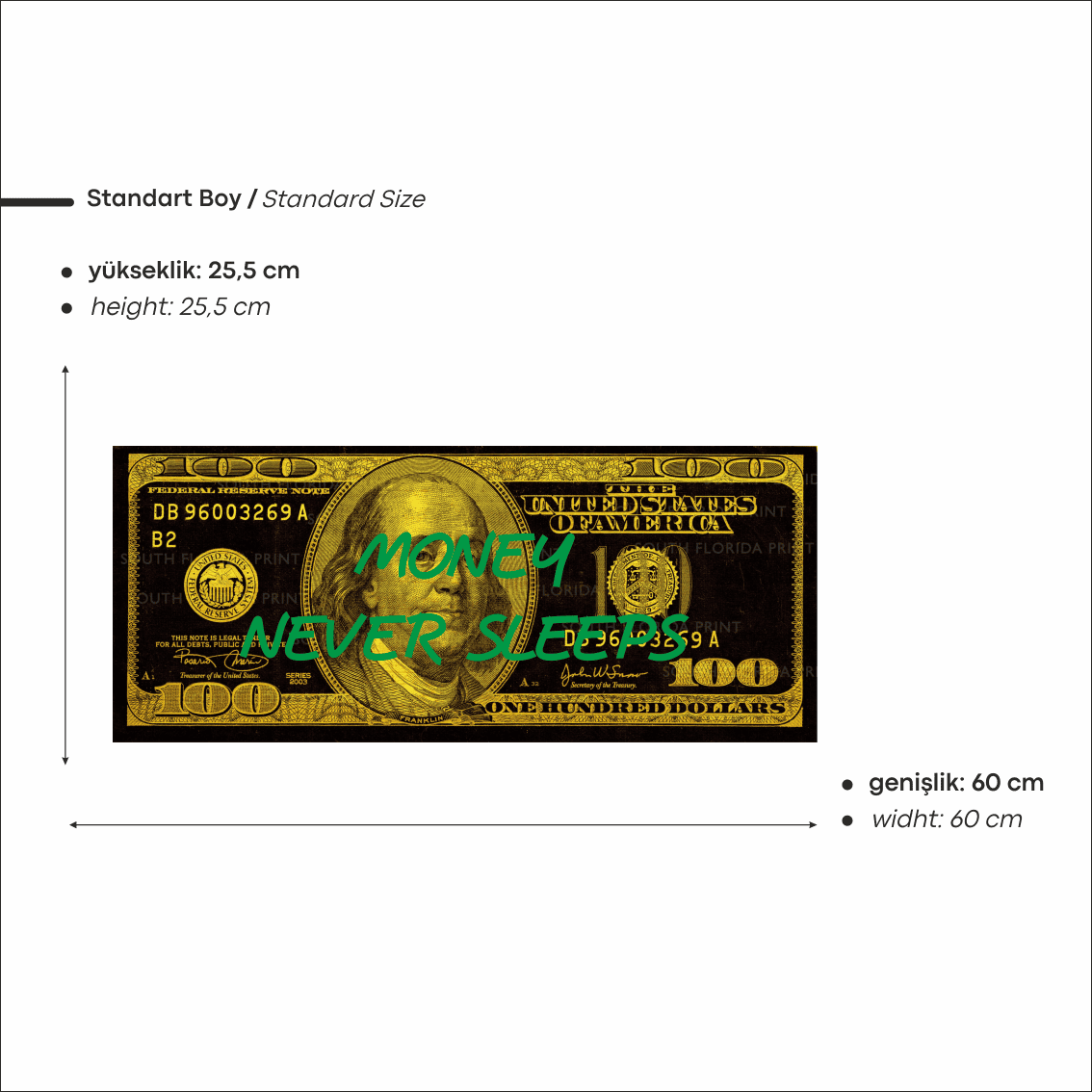 100 Dolar Baskılı Neon Tabela