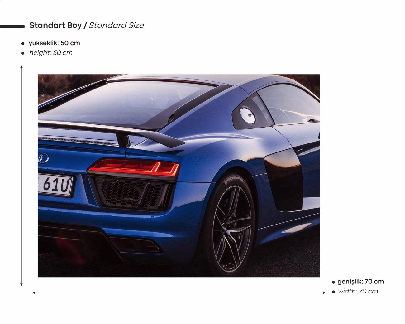 Audi R8 Araba Neon Tablo
