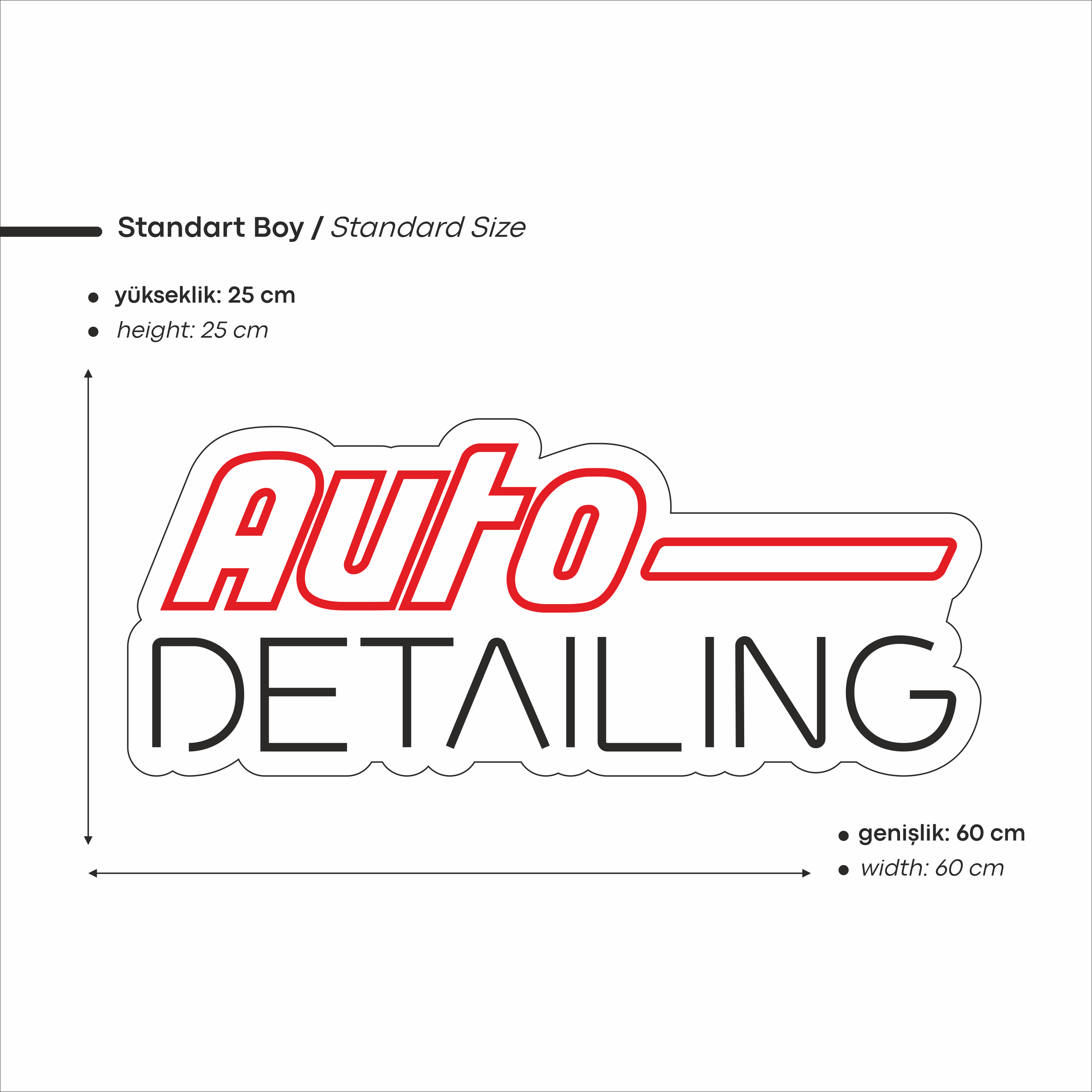 Auto Detailing Yazılı Led Neon
