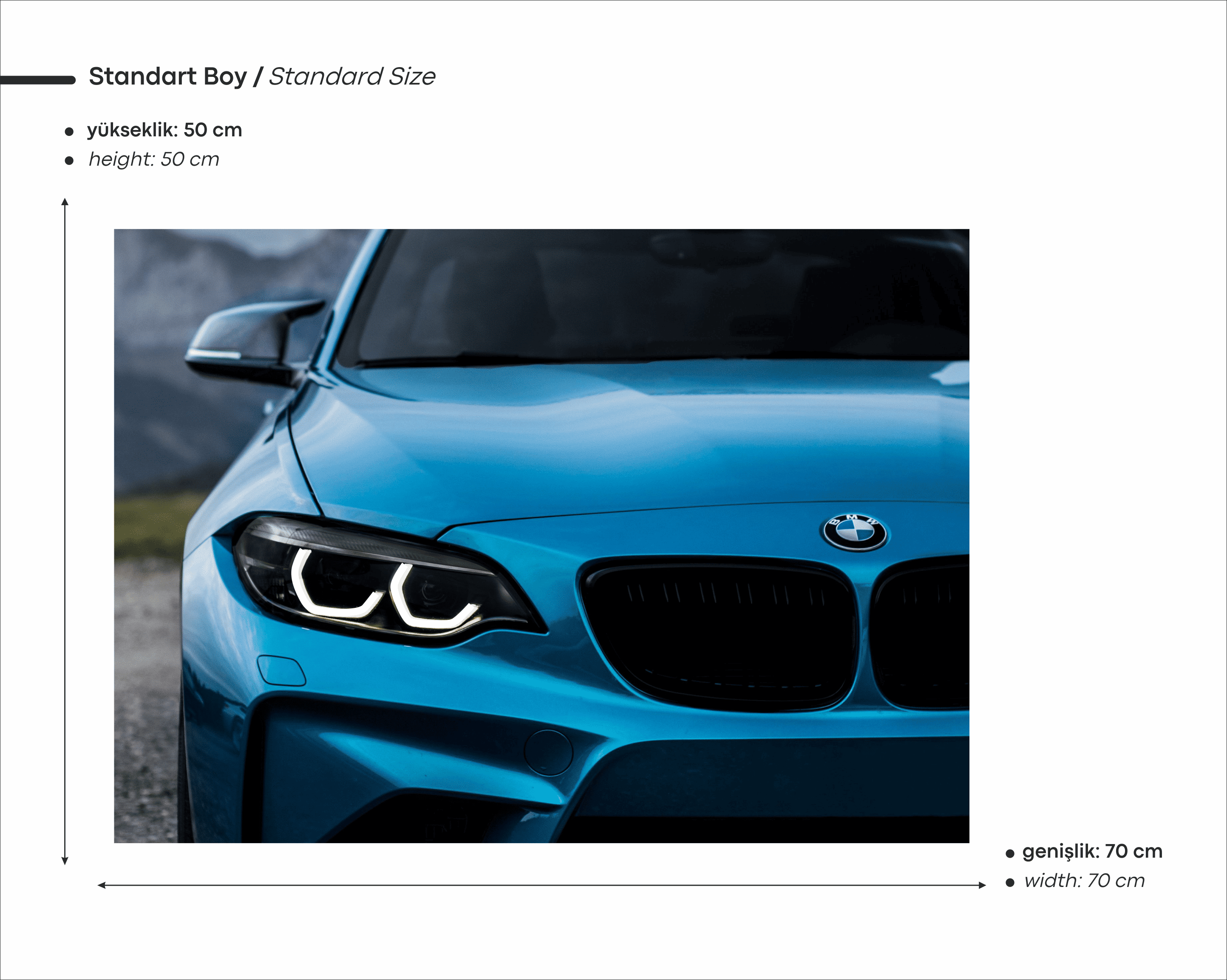 BMW M2 Coupe Araba Neon Tablo