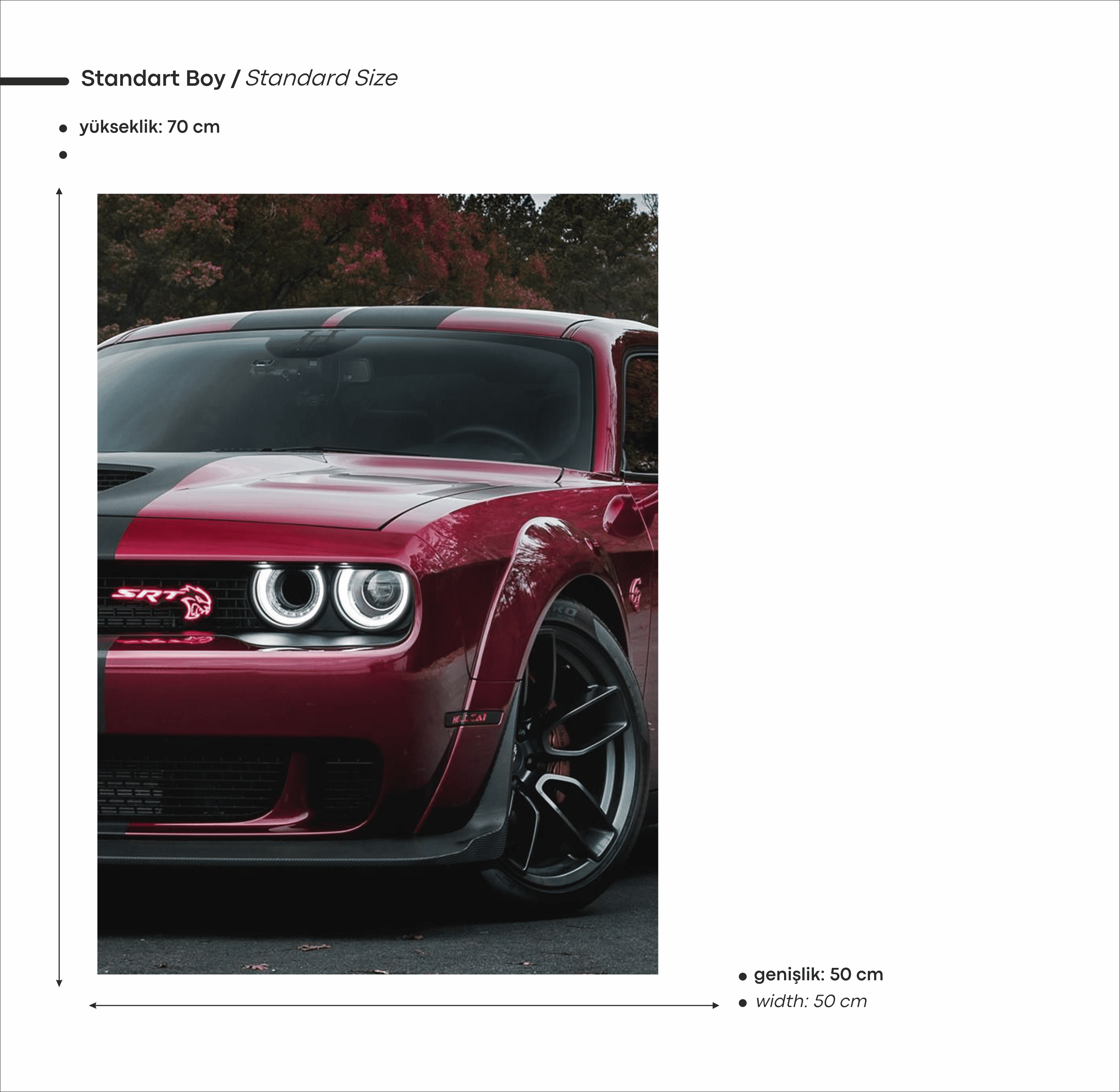 Dodge Challenger SRT Hellcat Araba Neon Tablo