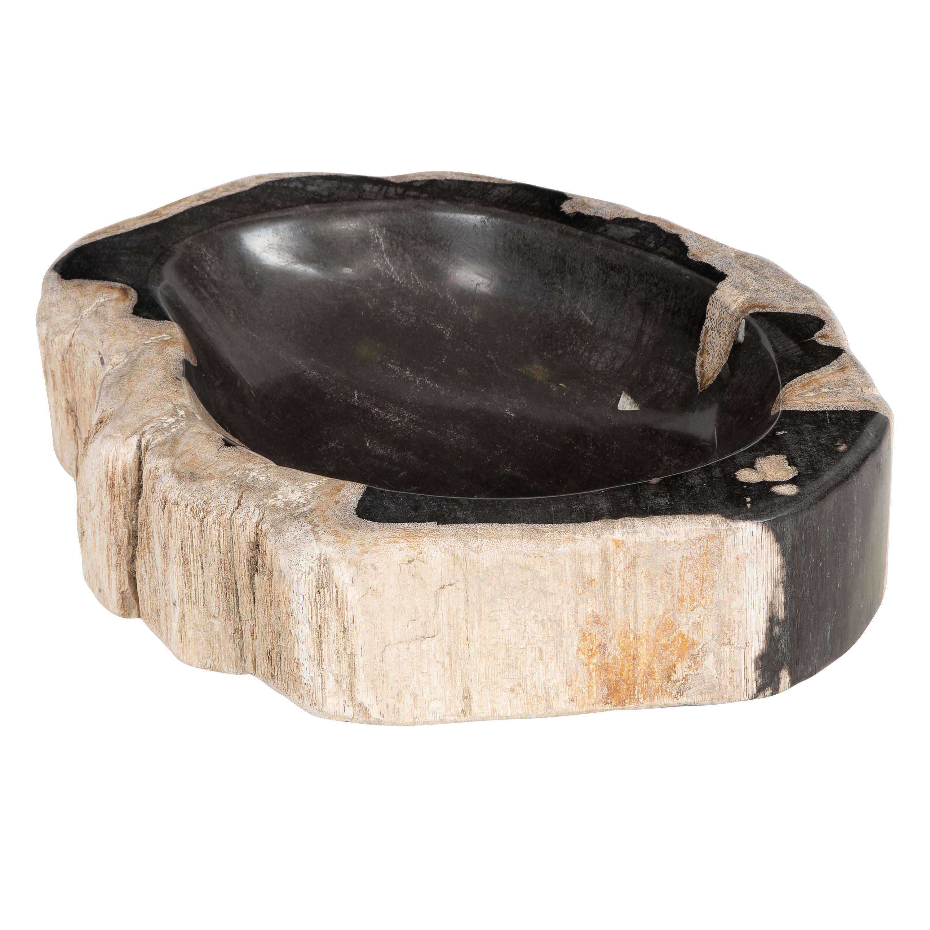 Dekoratif Bowl Fosil Ağaç - 22 cm x 16 cm x 5 cm