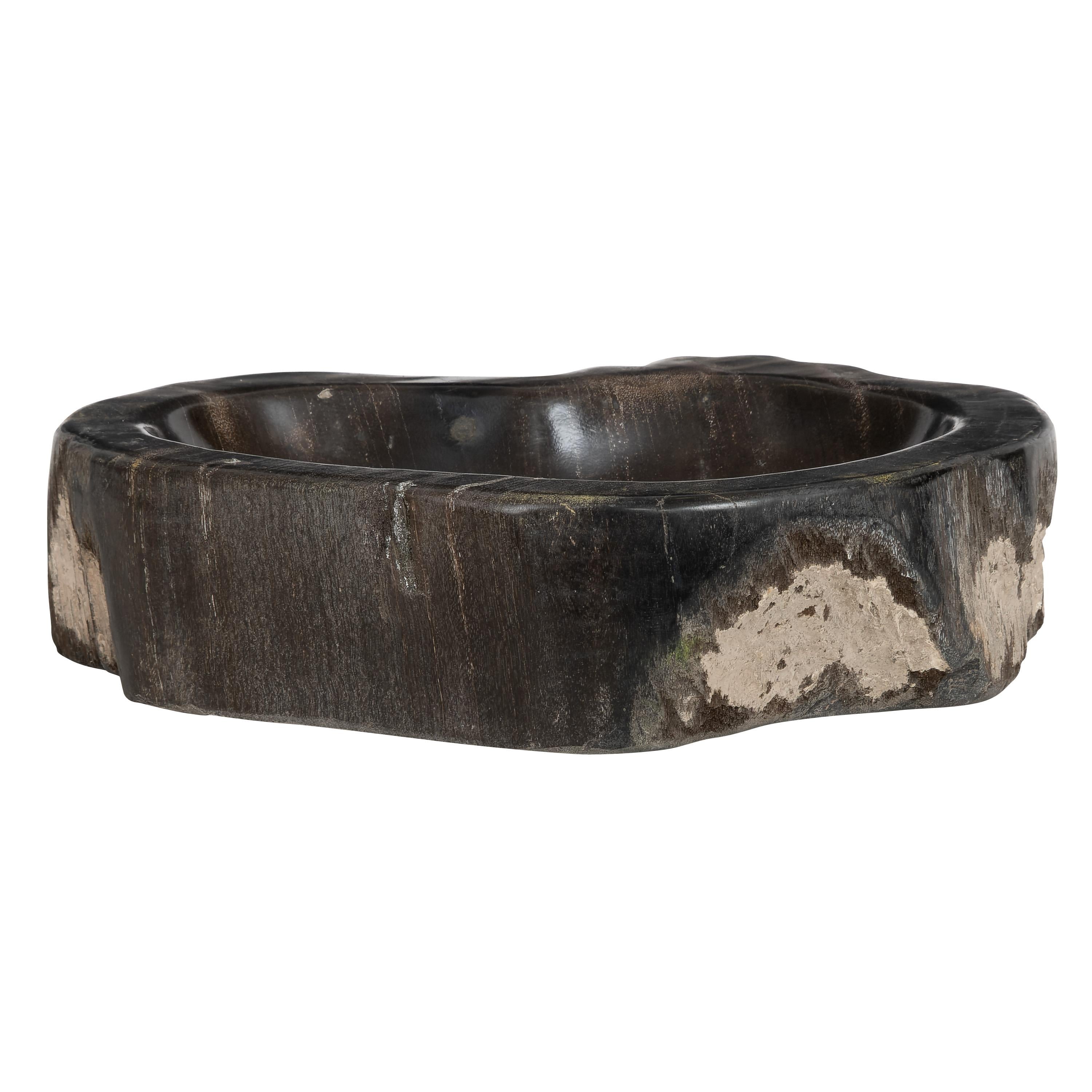 Dekoratif Bowl Fosil Ağaç - 22 cm x 16 cm x 5 cm