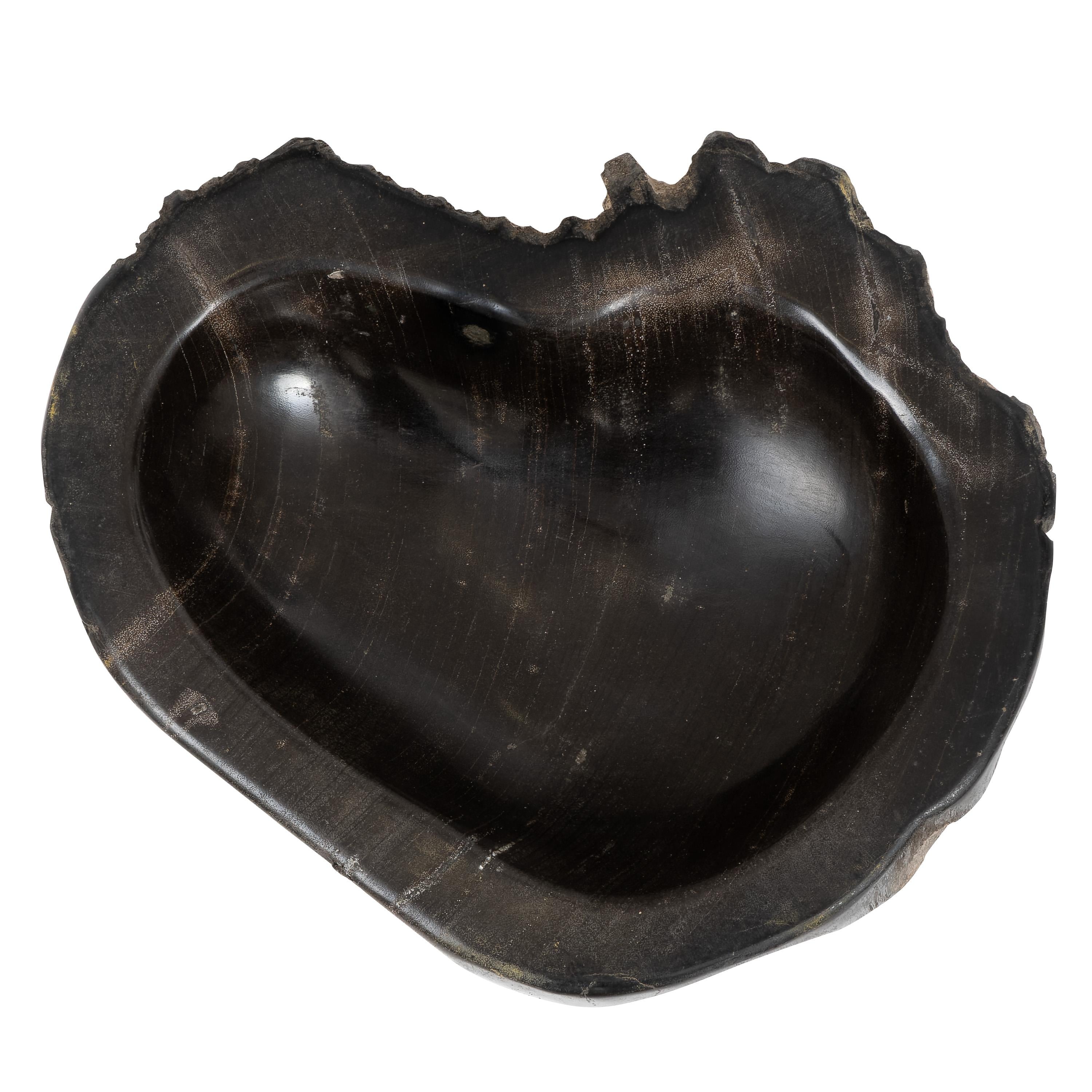 Dekoratif Bowl Fosil Ağaç - 22 cm x 16 cm x 5 cm