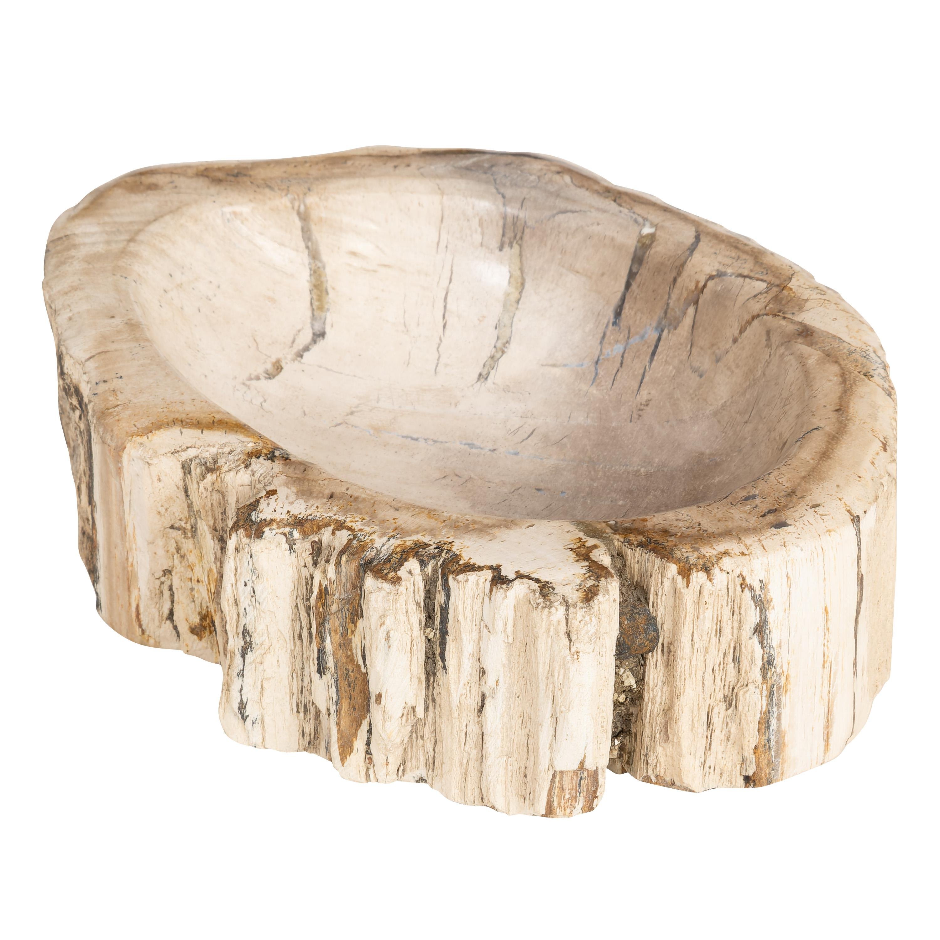 Dekoratif Bowl Fosil Ağaç - 22 cm x 16 cm x 5 cm