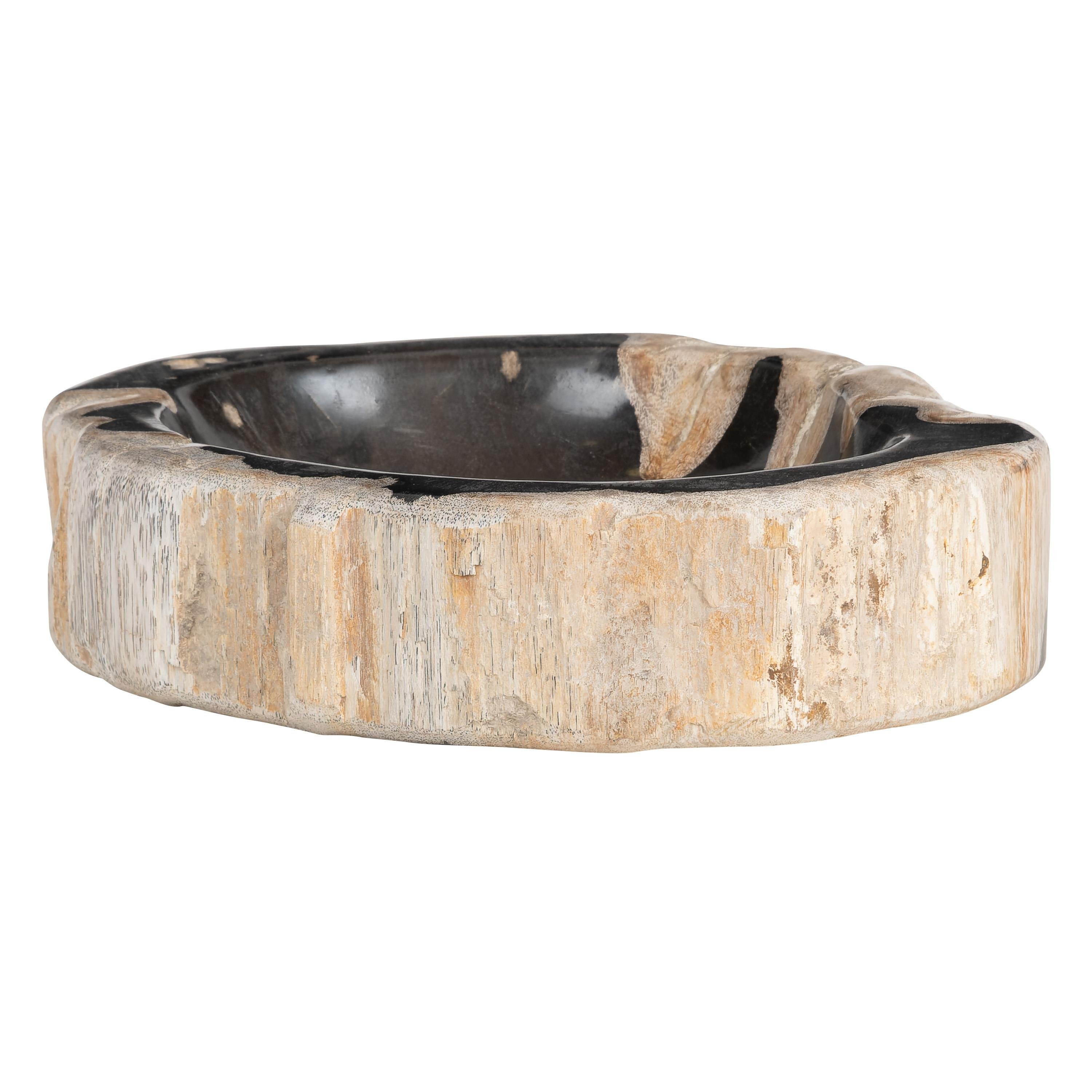 Dekoratif Bowl Fosil Ağaç - 22 cm x 16 cm x 5 cm