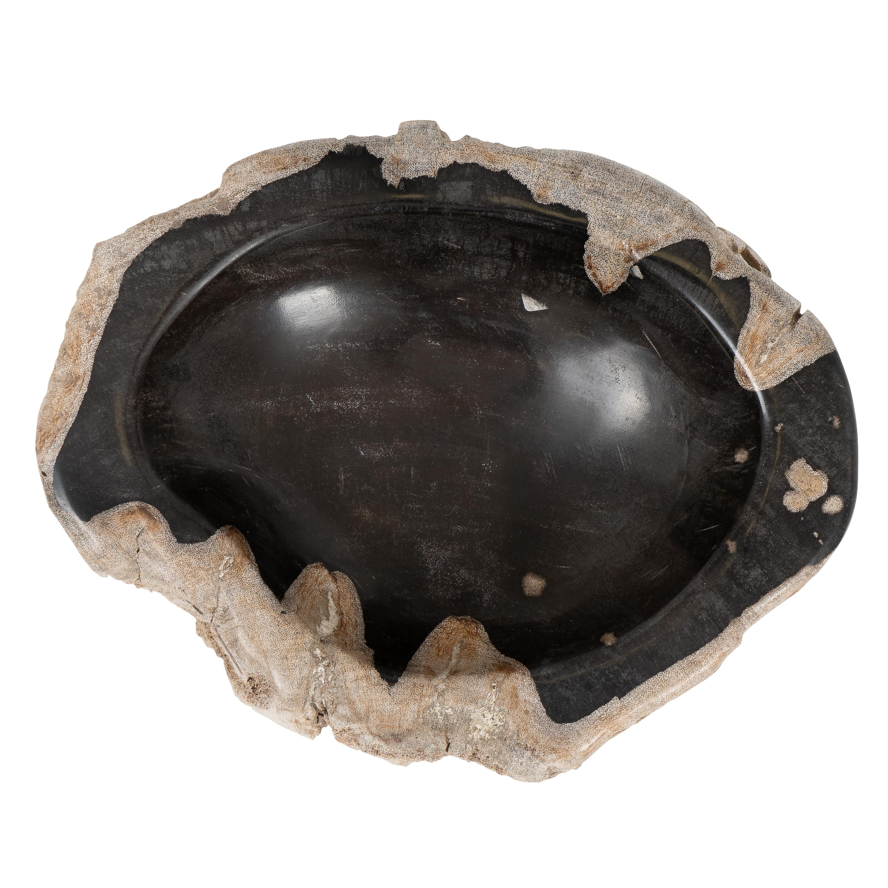 Dekoratif Bowl Fosil Ağaç - 22 cm x 16 cm x 5 cm