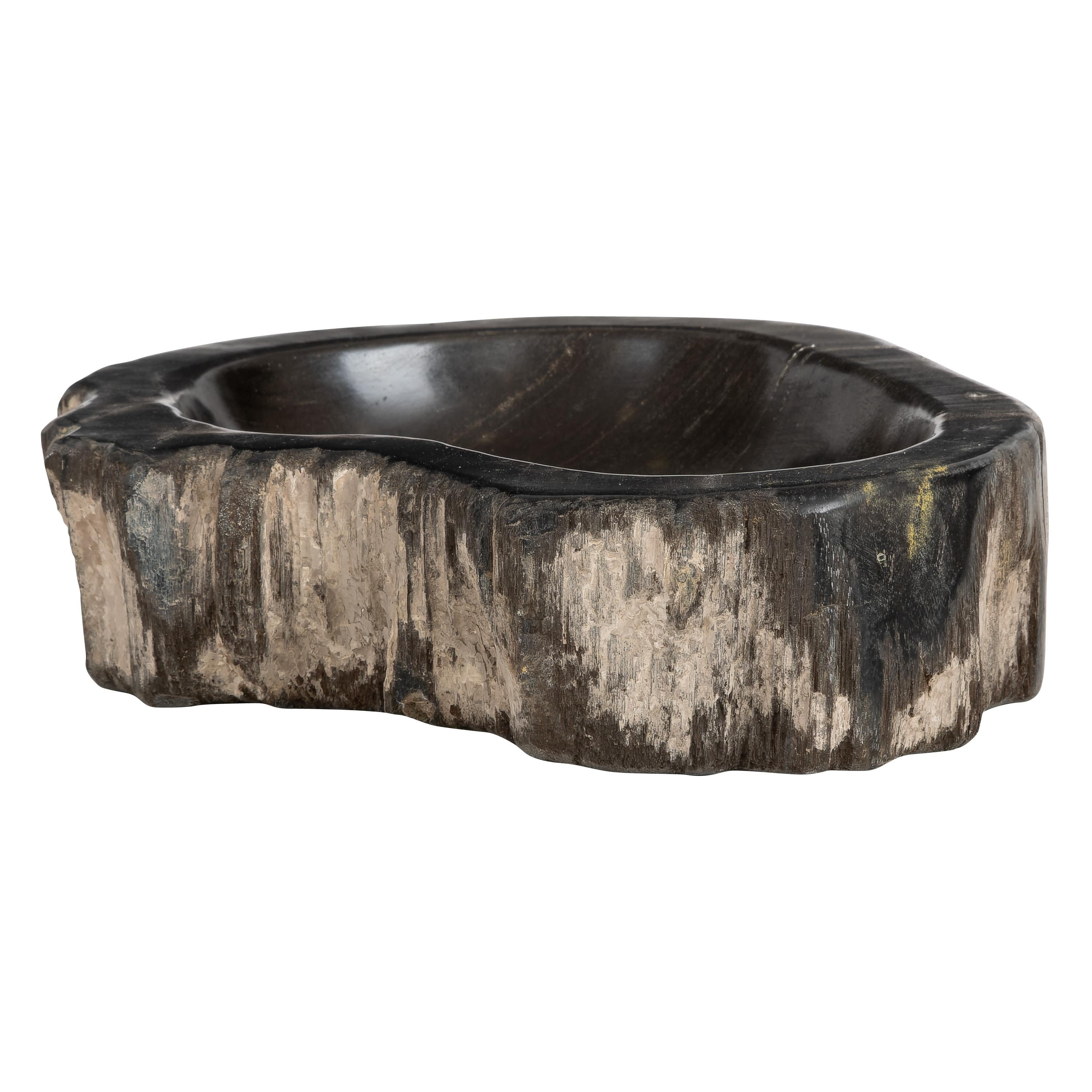 Dekoratif Bowl Fosil Ağaç - 22 cm x 16 cm x 5 cm