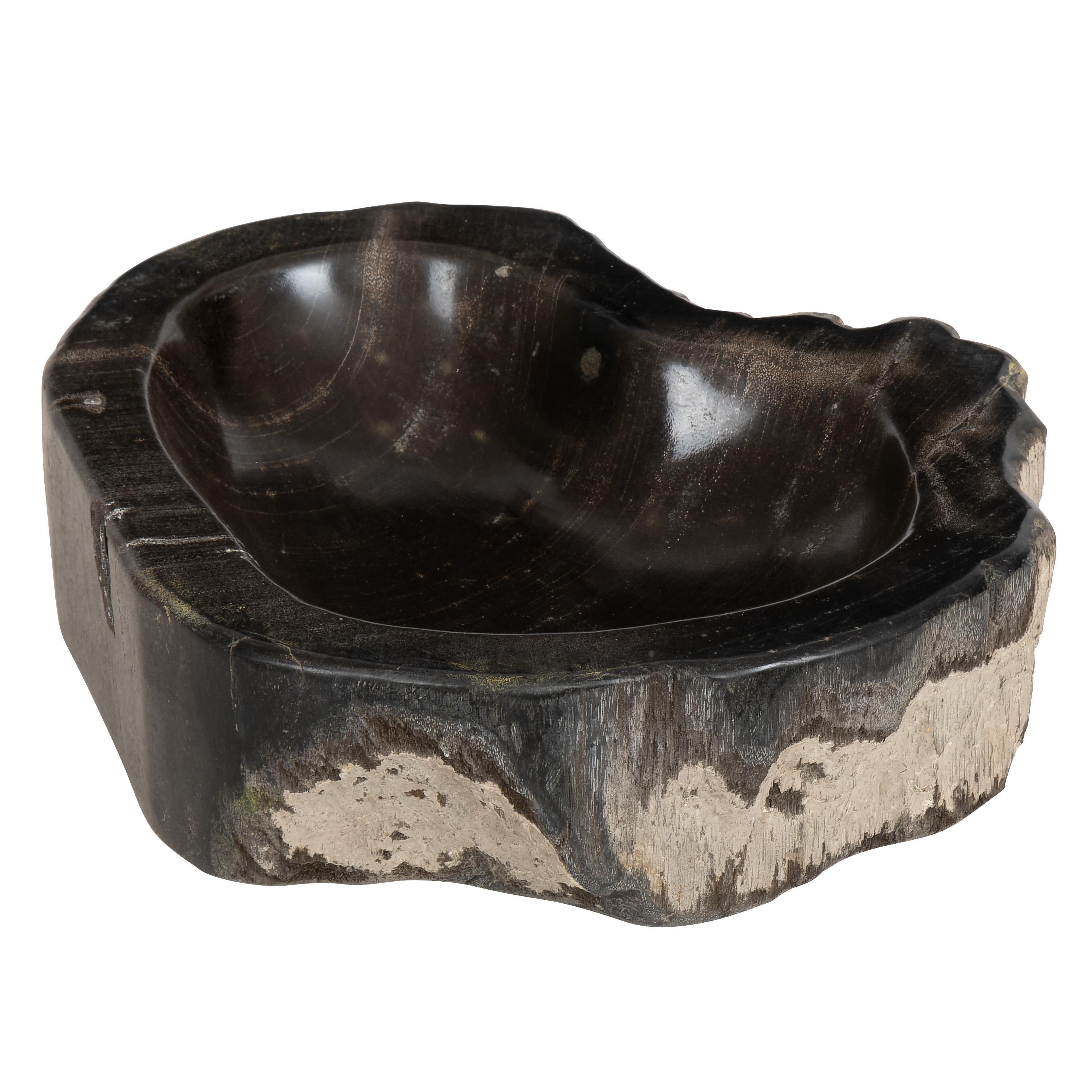 Dekoratif Bowl Fosil Ağaç - 22 cm x 16 cm x 5 cm