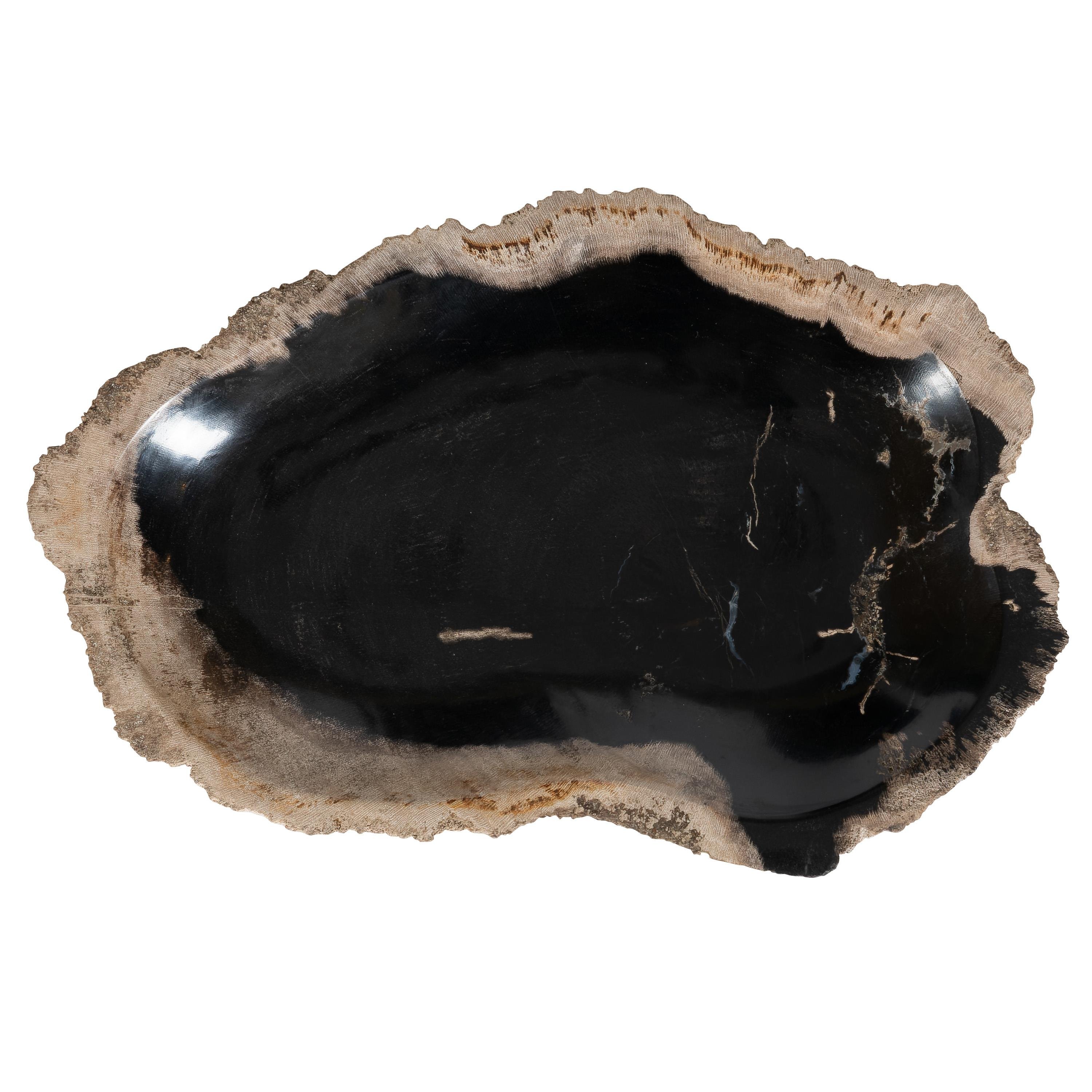 Dekoratif Bowl Fosil Ağaç -26 cm x 16 cm x 2 cm