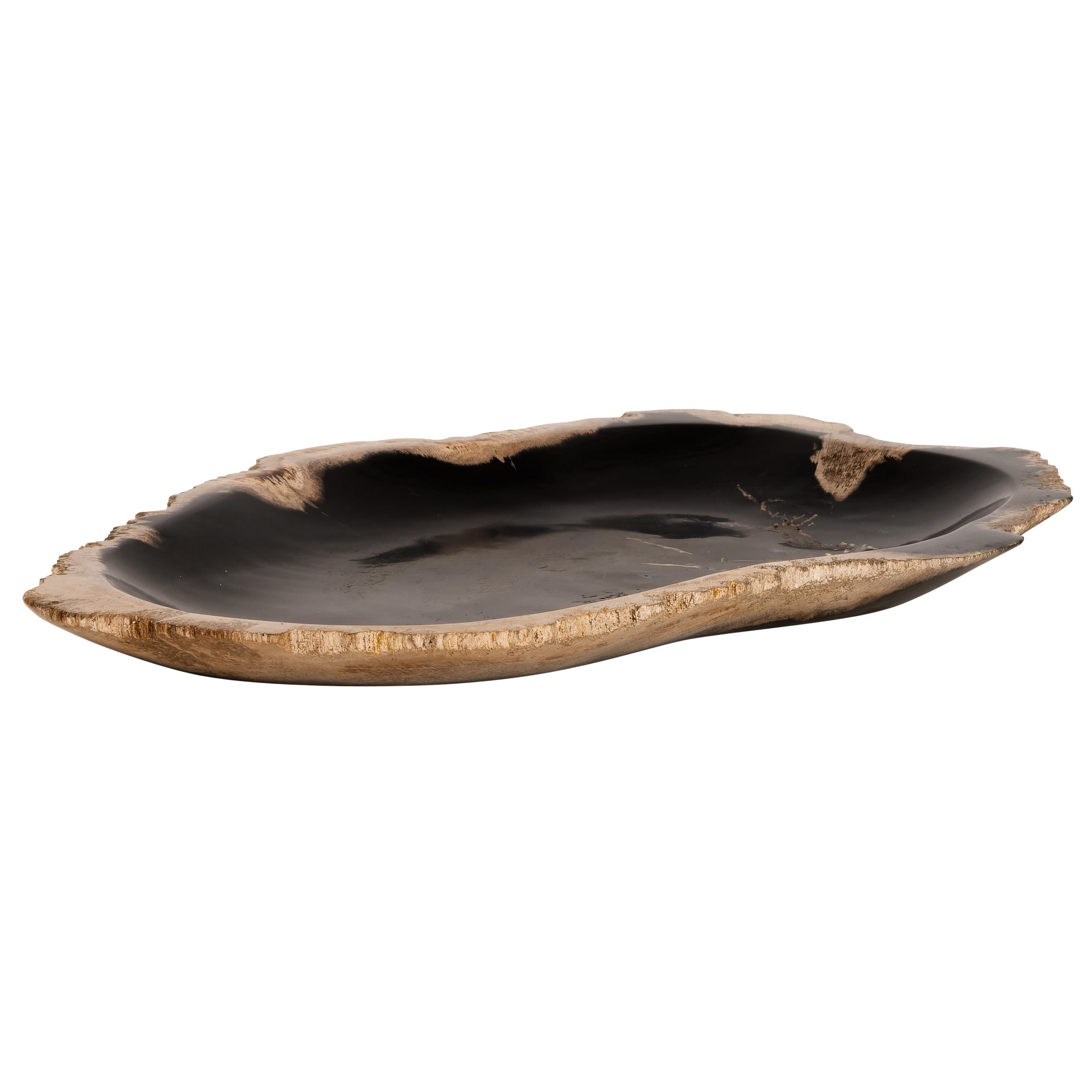 Dekoratif Bowl Fosil Ağaç -26 cm x 16 cm x 2 cm