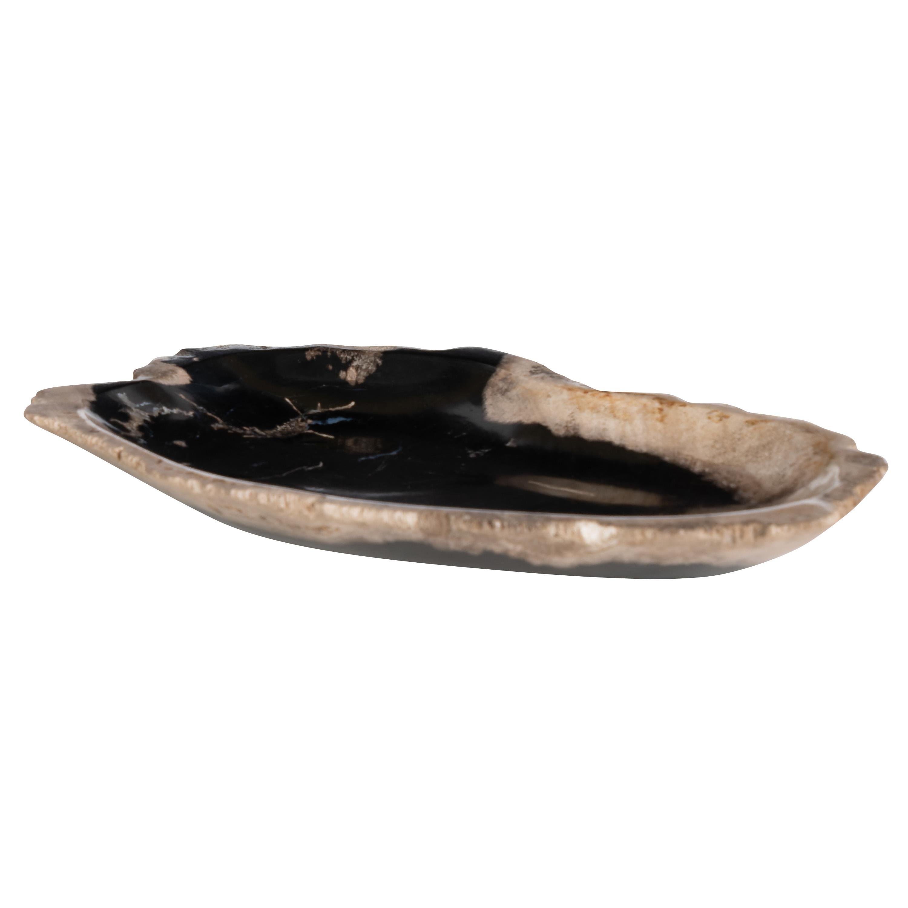 Dekoratif Bowl Fosil Ağaç -26 cm x 16 cm x 2 cm