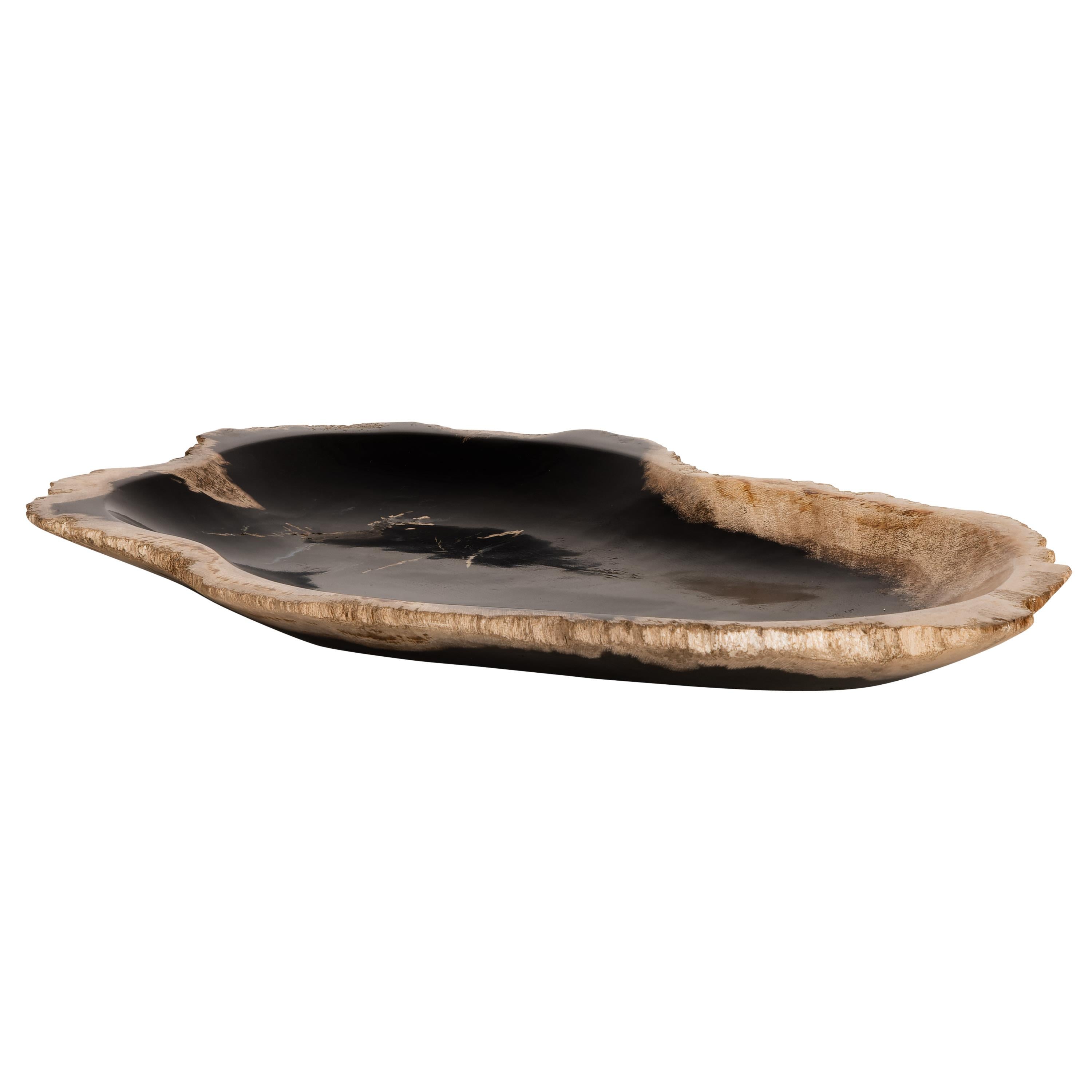 Dekoratif Bowl Fosil Ağaç -26 cm x 16 cm x 2 cm