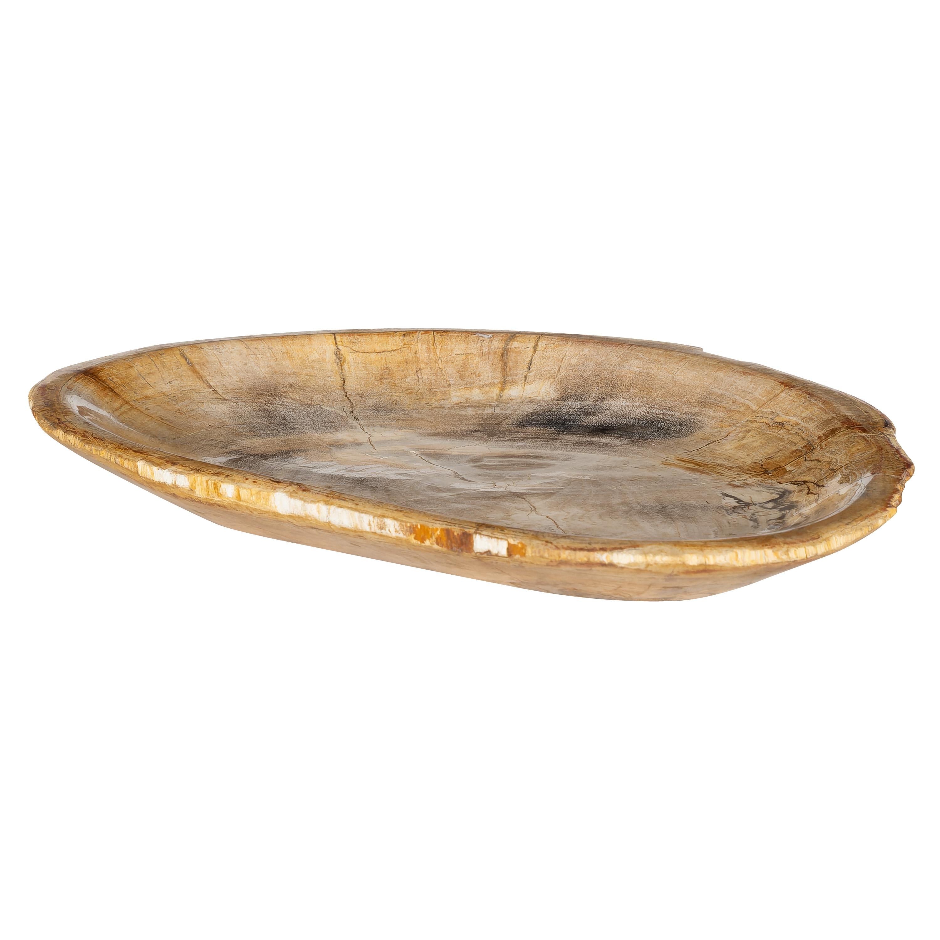 Dekoratif Bowl Fosil Ağaç -34 cm x 20 cm x 2 cm
