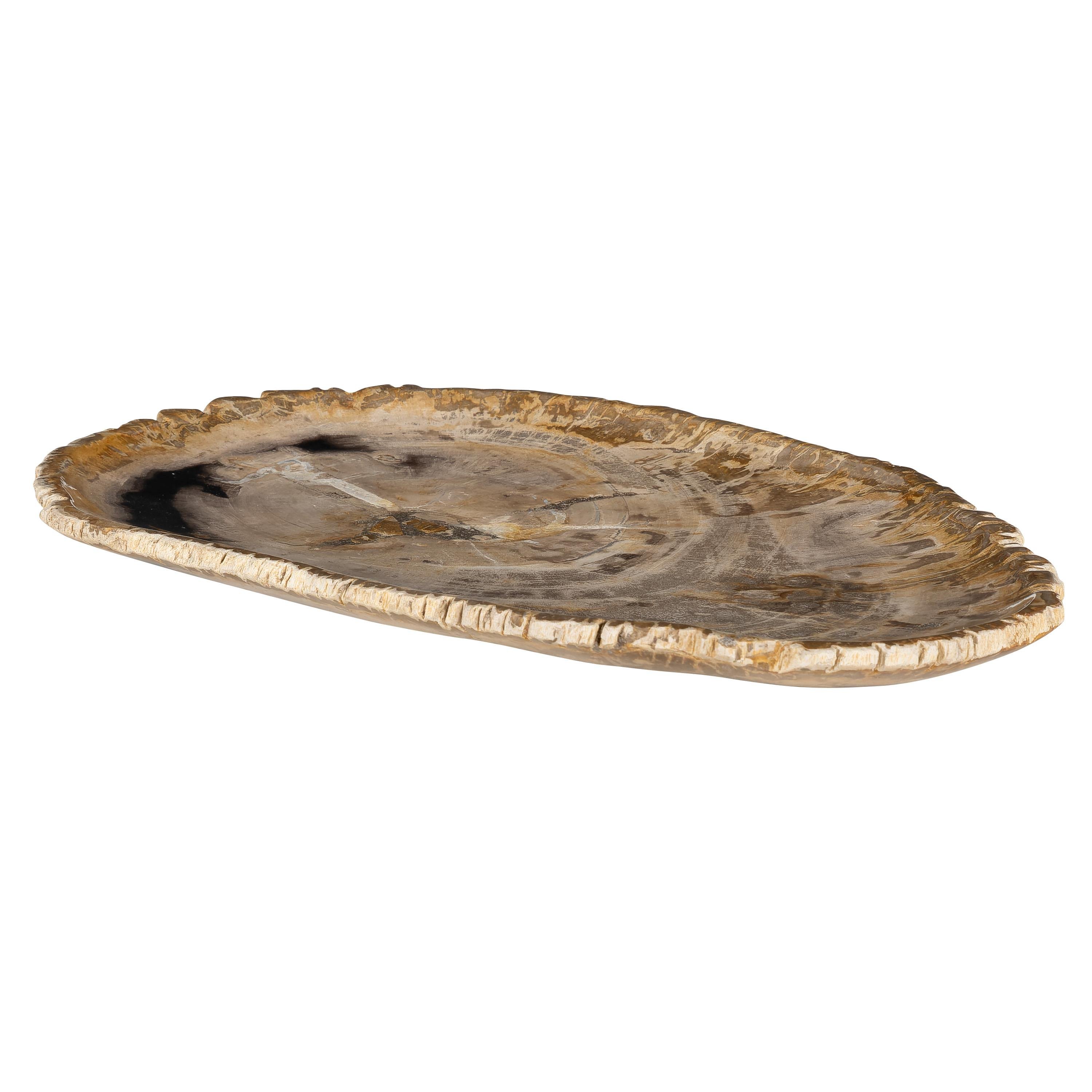 Dekoratif Bowl Fosil Ağaç -38 cm x 25 cm x 2 cm
