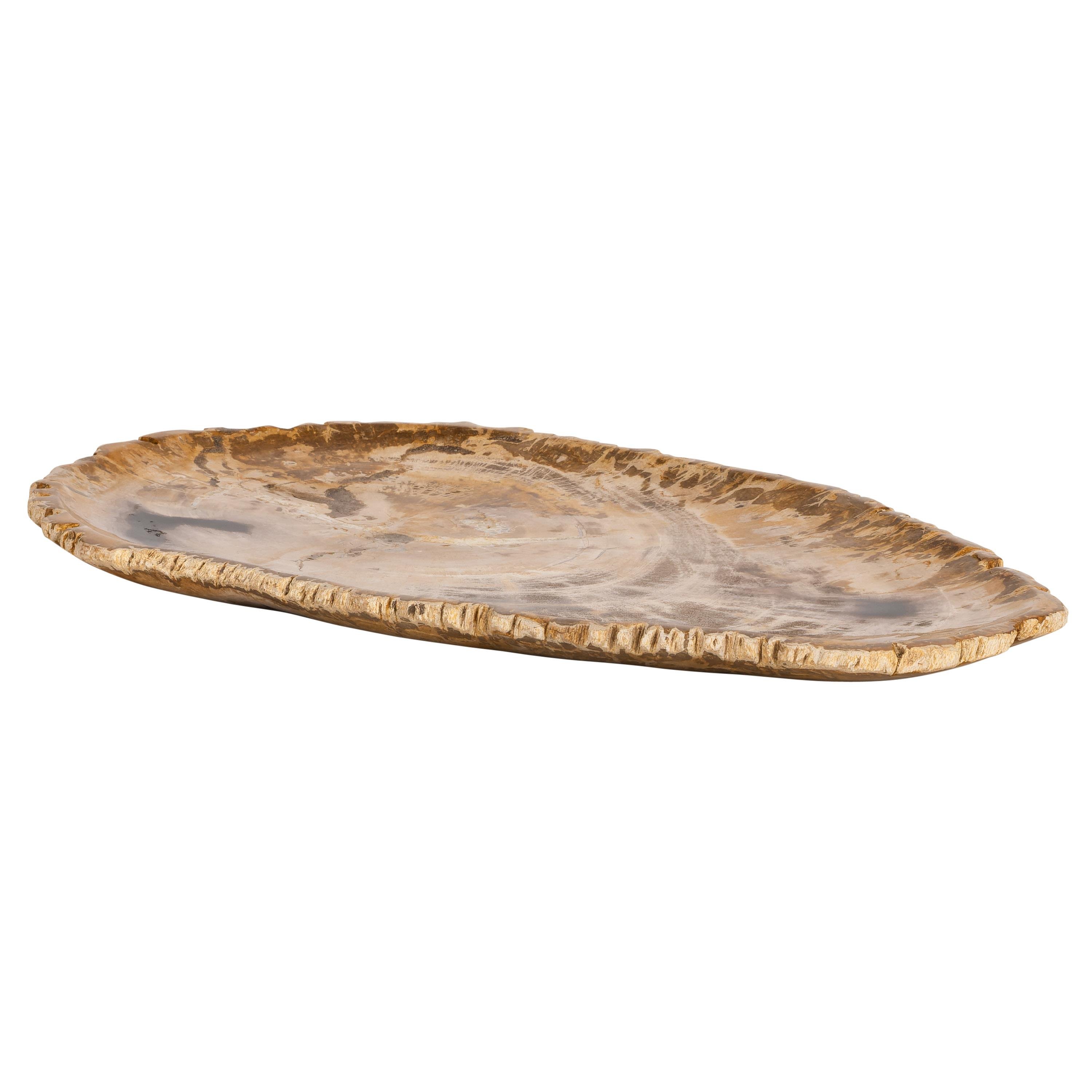 Dekoratif Bowl Fosil Ağaç -38 cm x 25 cm x 2 cm