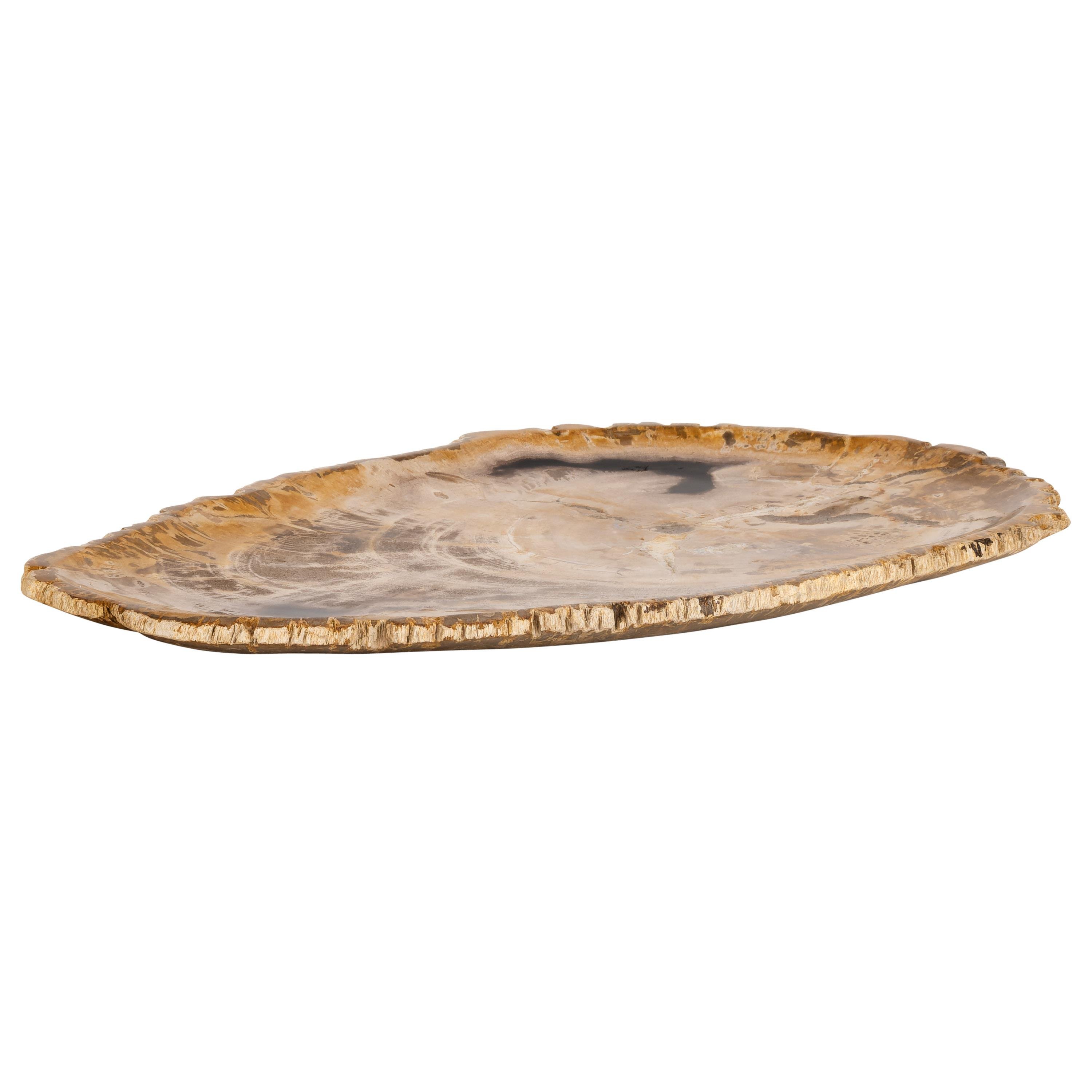 Dekoratif Bowl Fosil Ağaç -38 cm x 25 cm x 2 cm