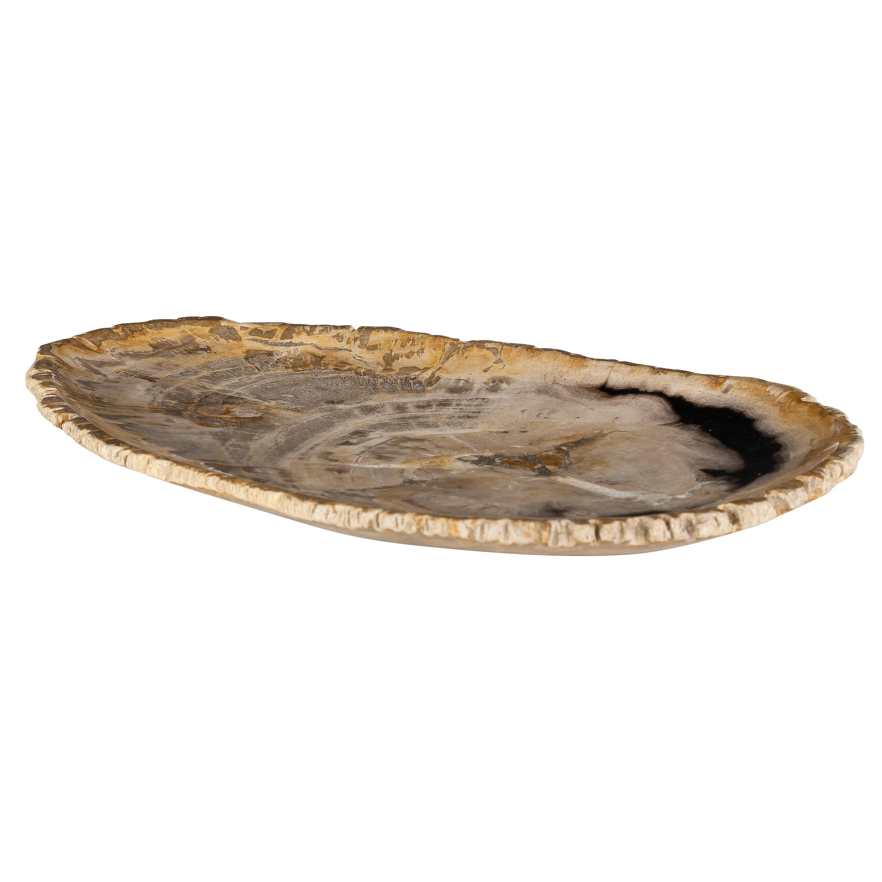 Dekoratif Bowl Fosil Ağaç -38 cm x 25 cm x 2 cm