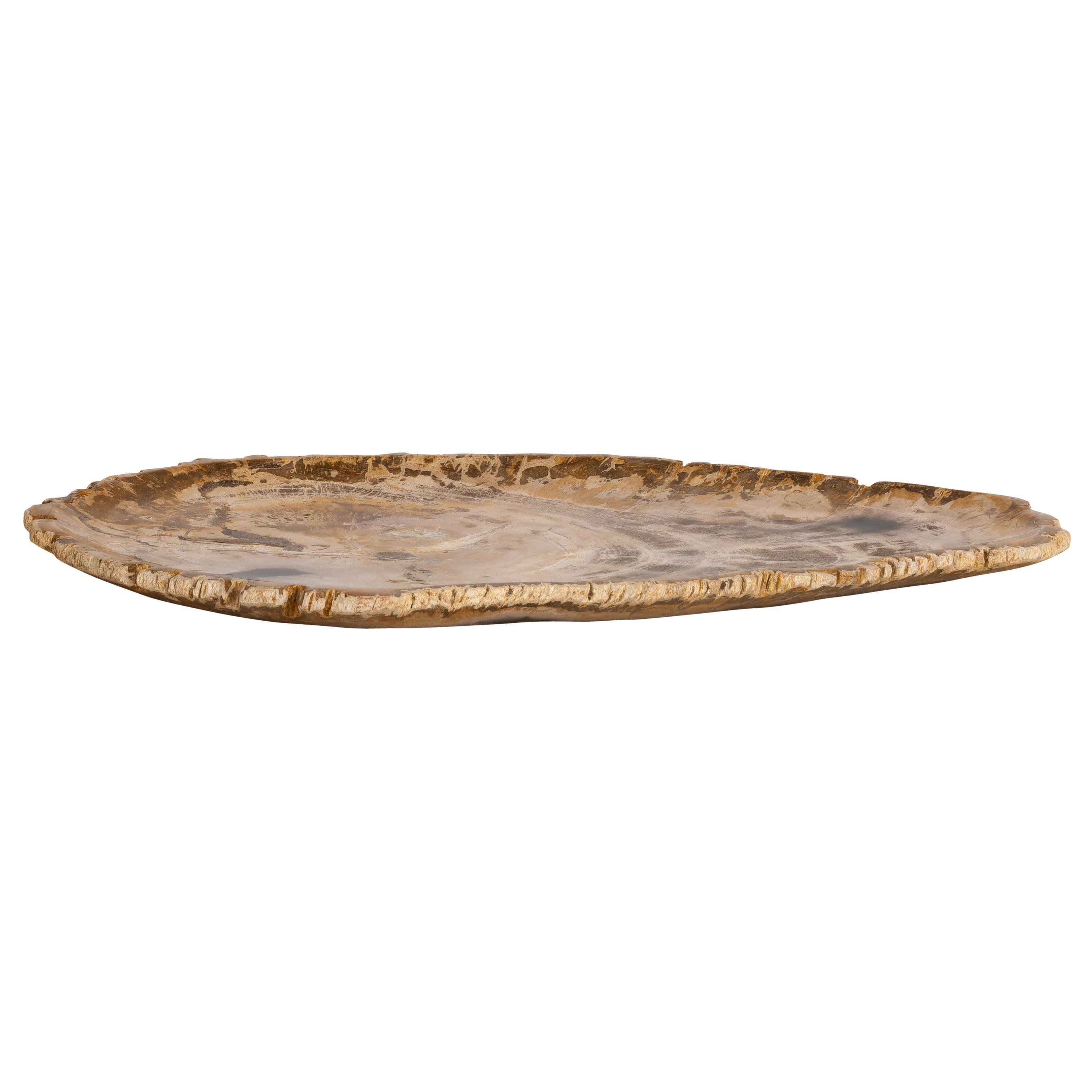 Dekoratif Bowl Fosil Ağaç -38 cm x 25 cm x 2 cm