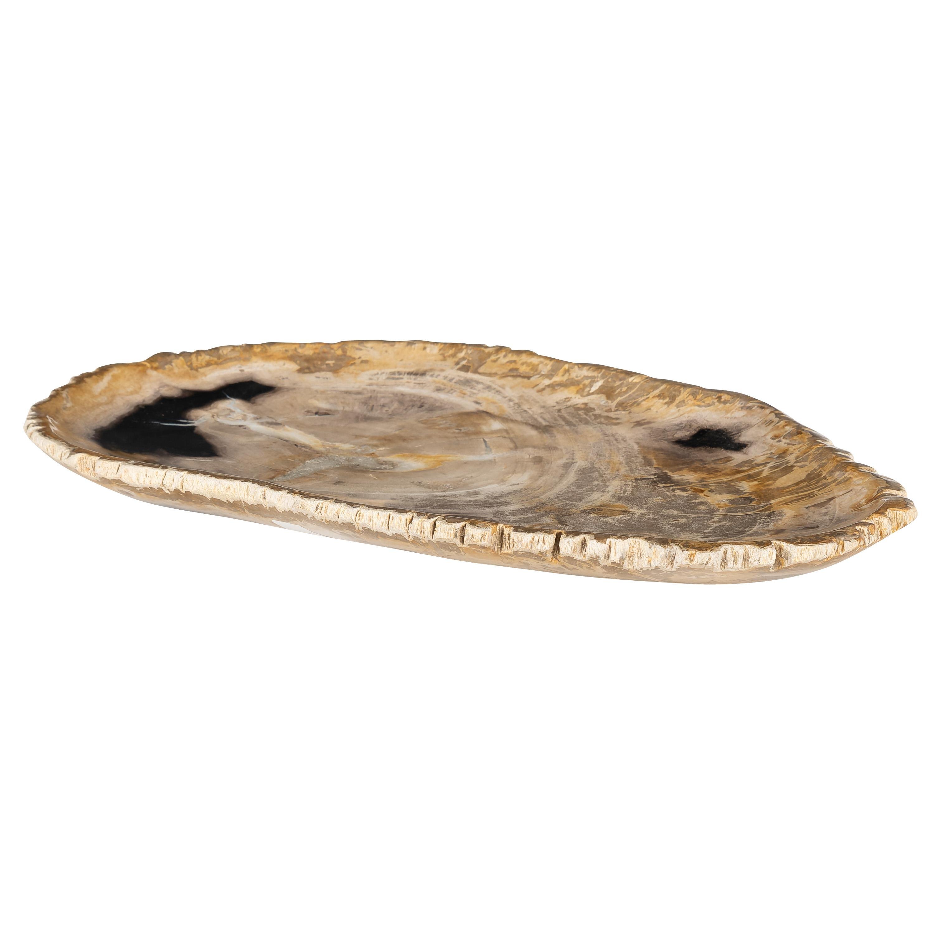 Dekoratif Bowl Fosil Ağaç -38 cm x 25 cm x 2 cm