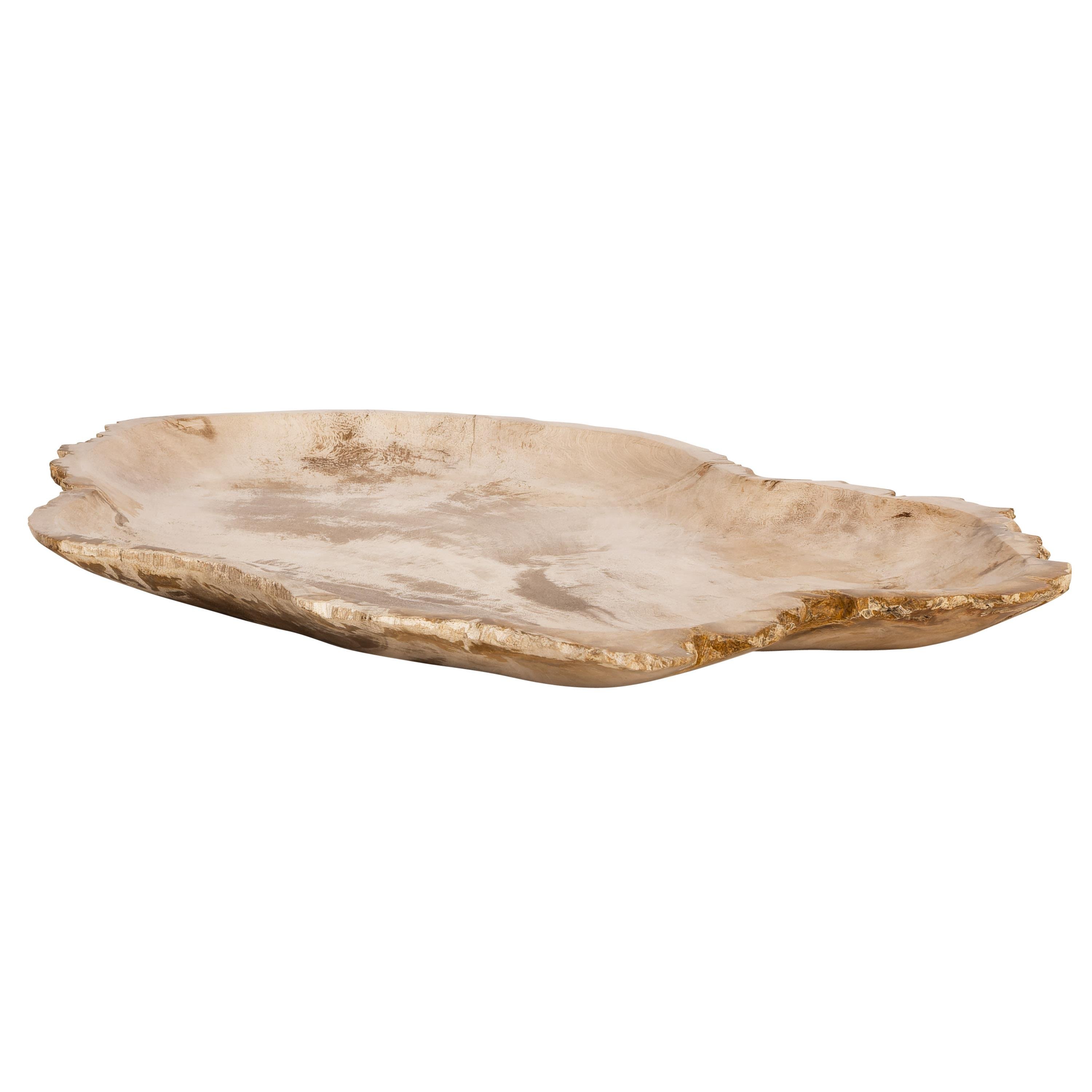 Dekoratif Bowl Fosil Ağaç -40 cm x 28 cm  x3 cm