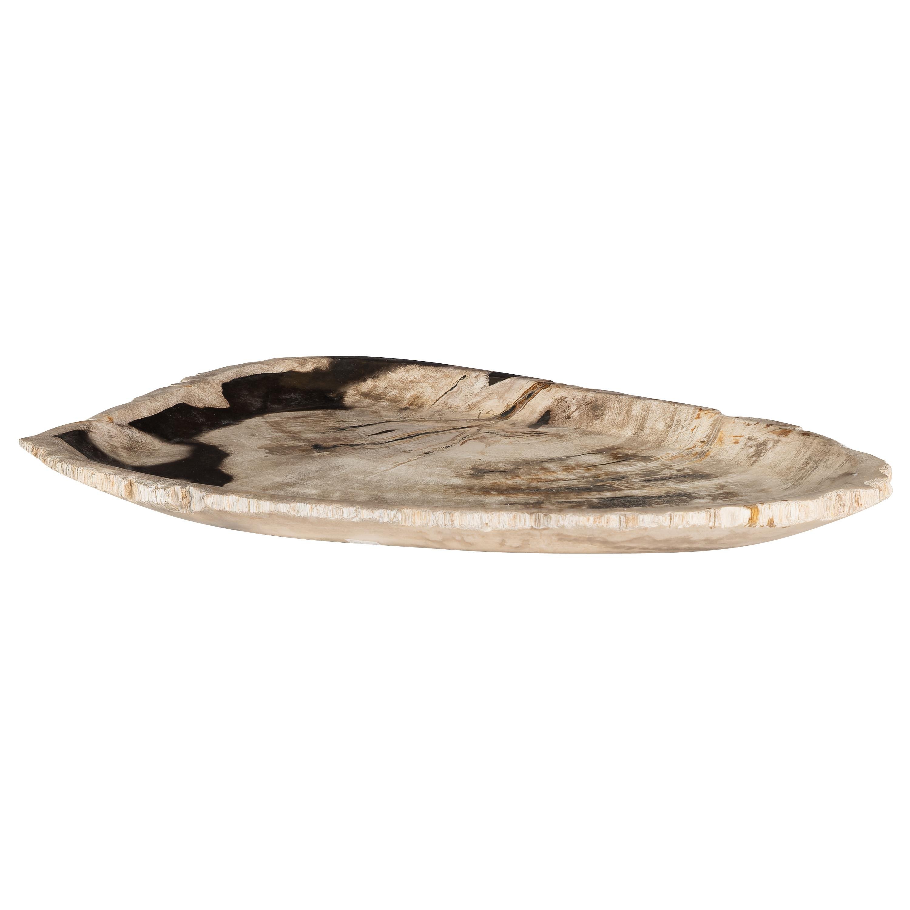 Dekoratif Bowl Fosil Ağaç -40 cm x 28 cm  x3 cm