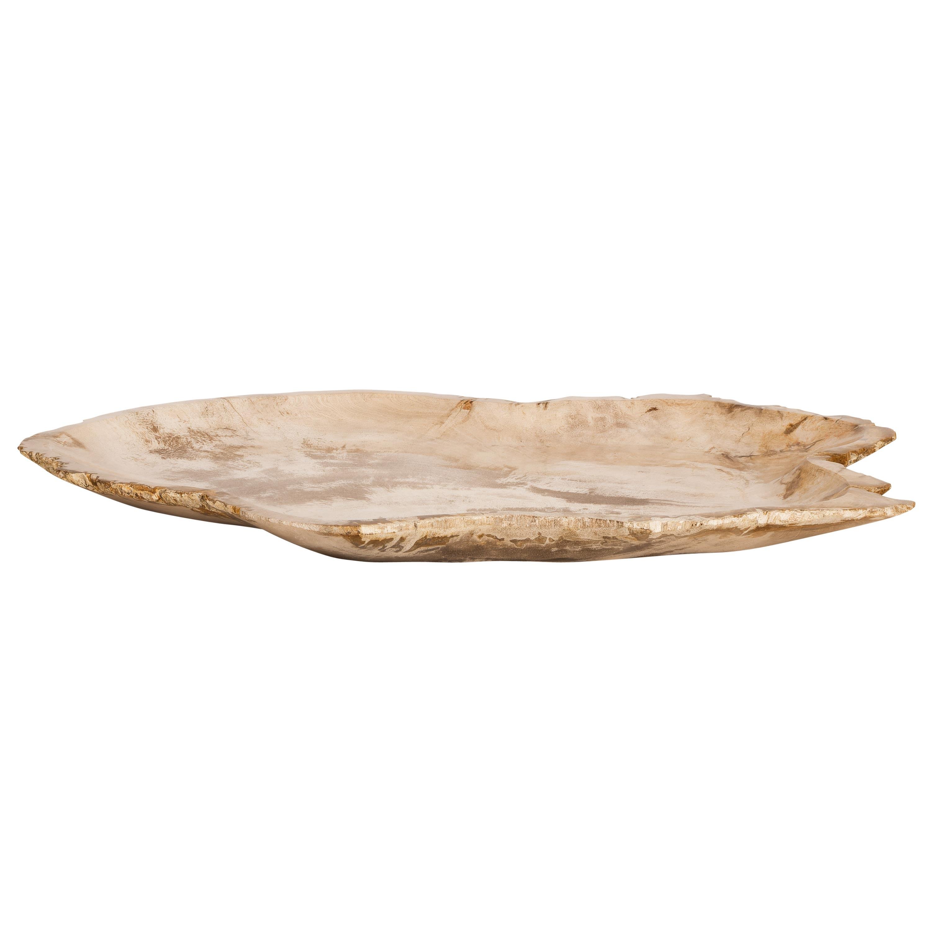 Dekoratif Bowl Fosil Ağaç -40 cm x 28 cm  x3 cm