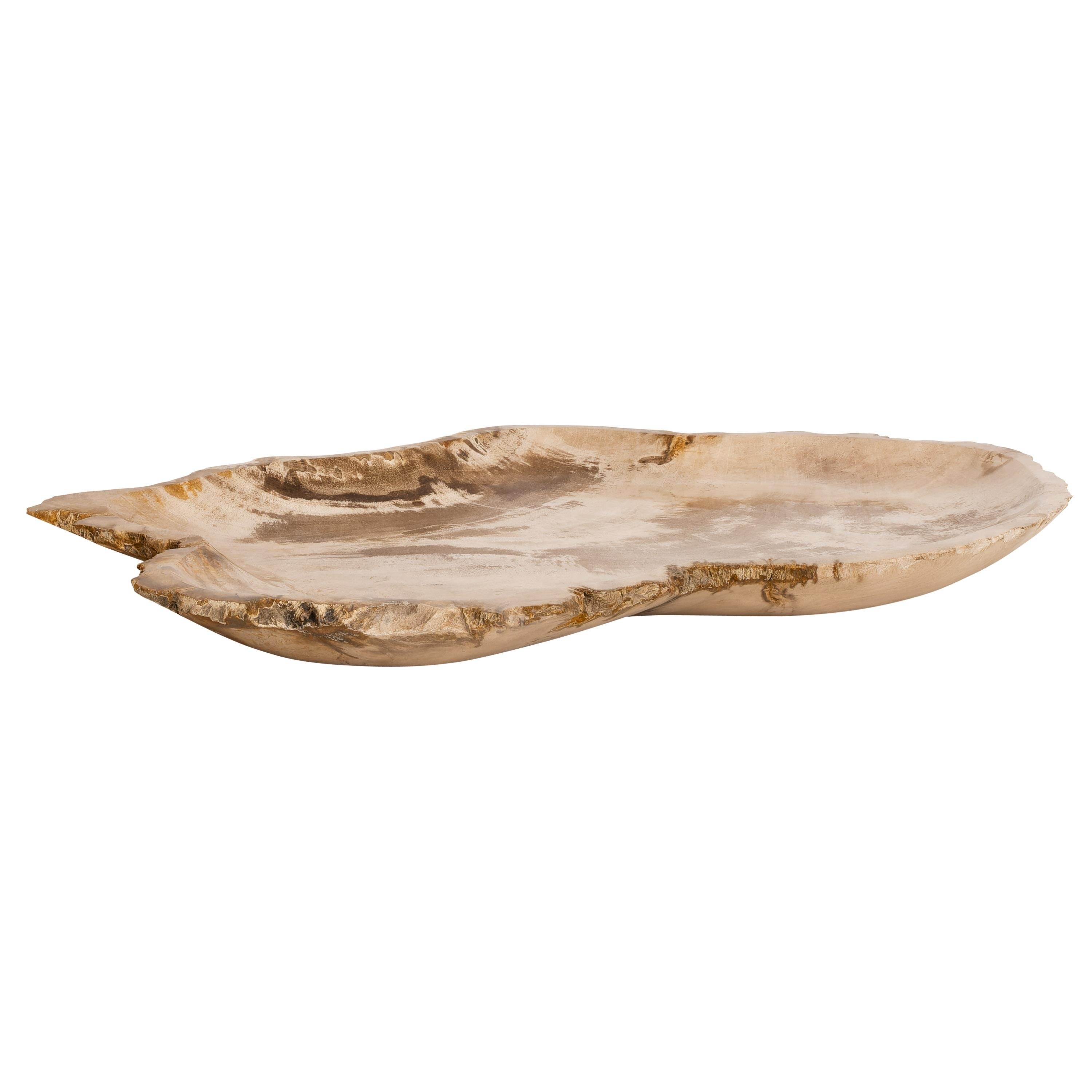 Dekoratif Bowl Fosil Ağaç -40 cm x 28 cm  x3 cm