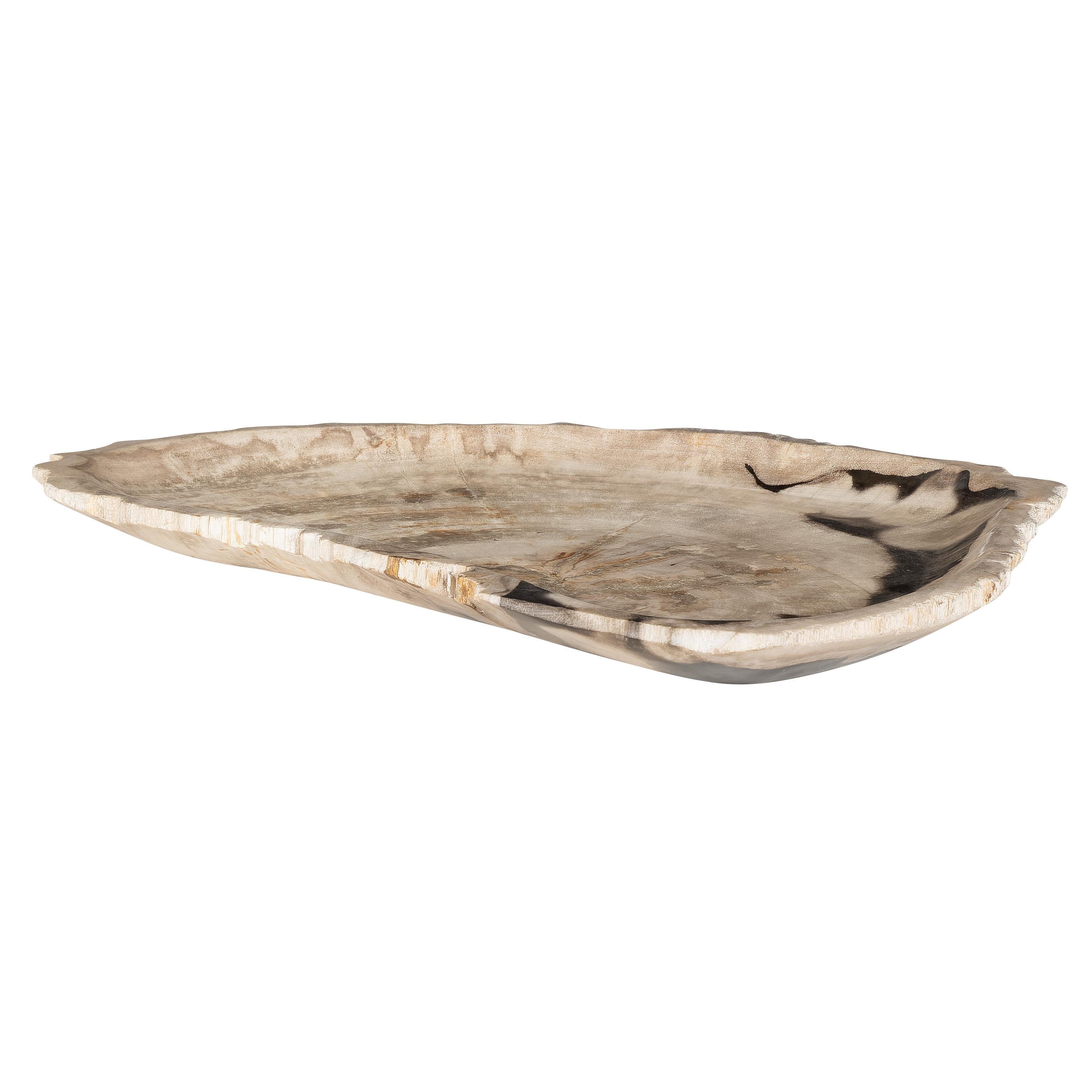 Dekoratif Bowl Fosil Ağaç -43 cm x 30 cm  x 4 cm