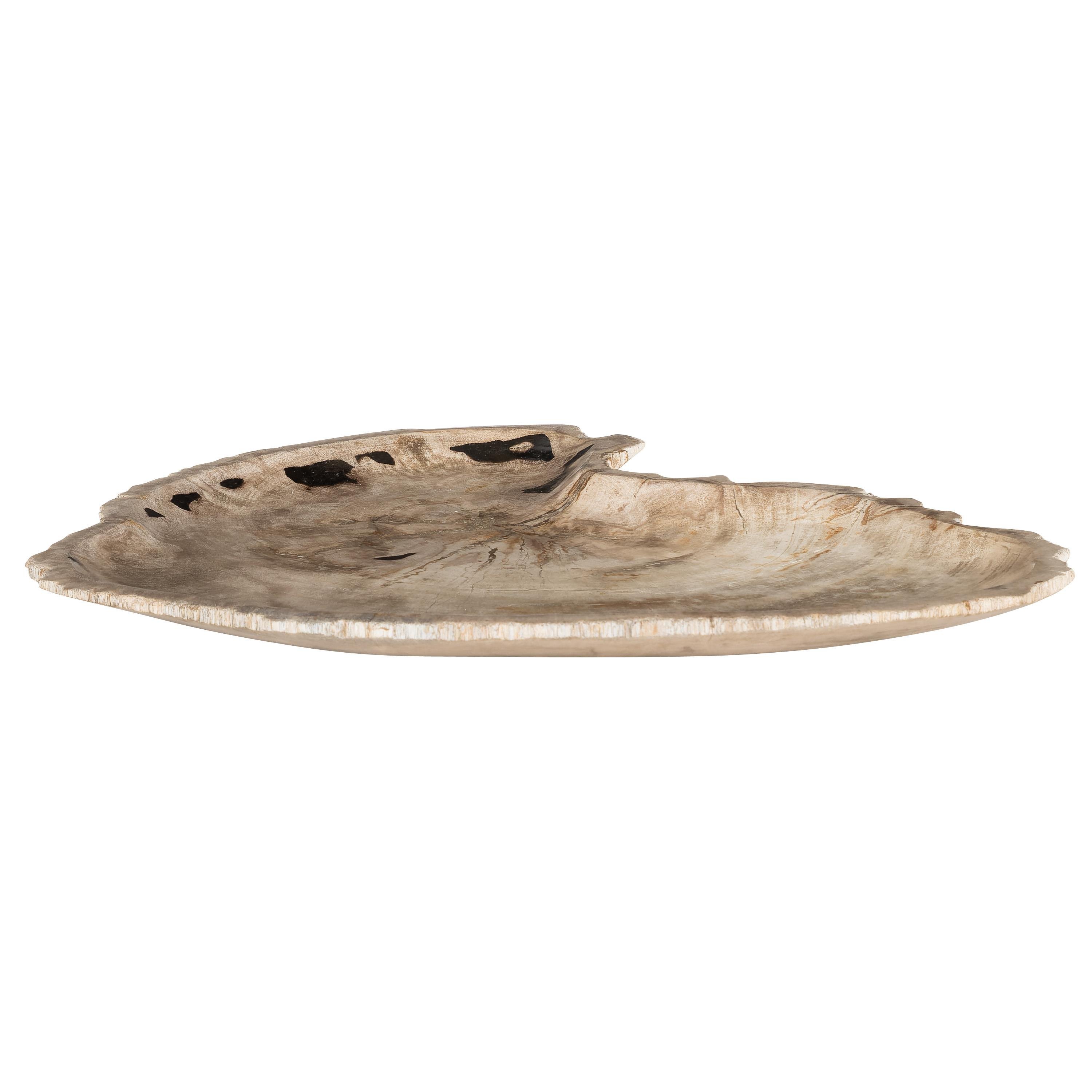 Dekoratif Bowl Fosil Ağaç -43 cm x 30 cm  x 4 cm