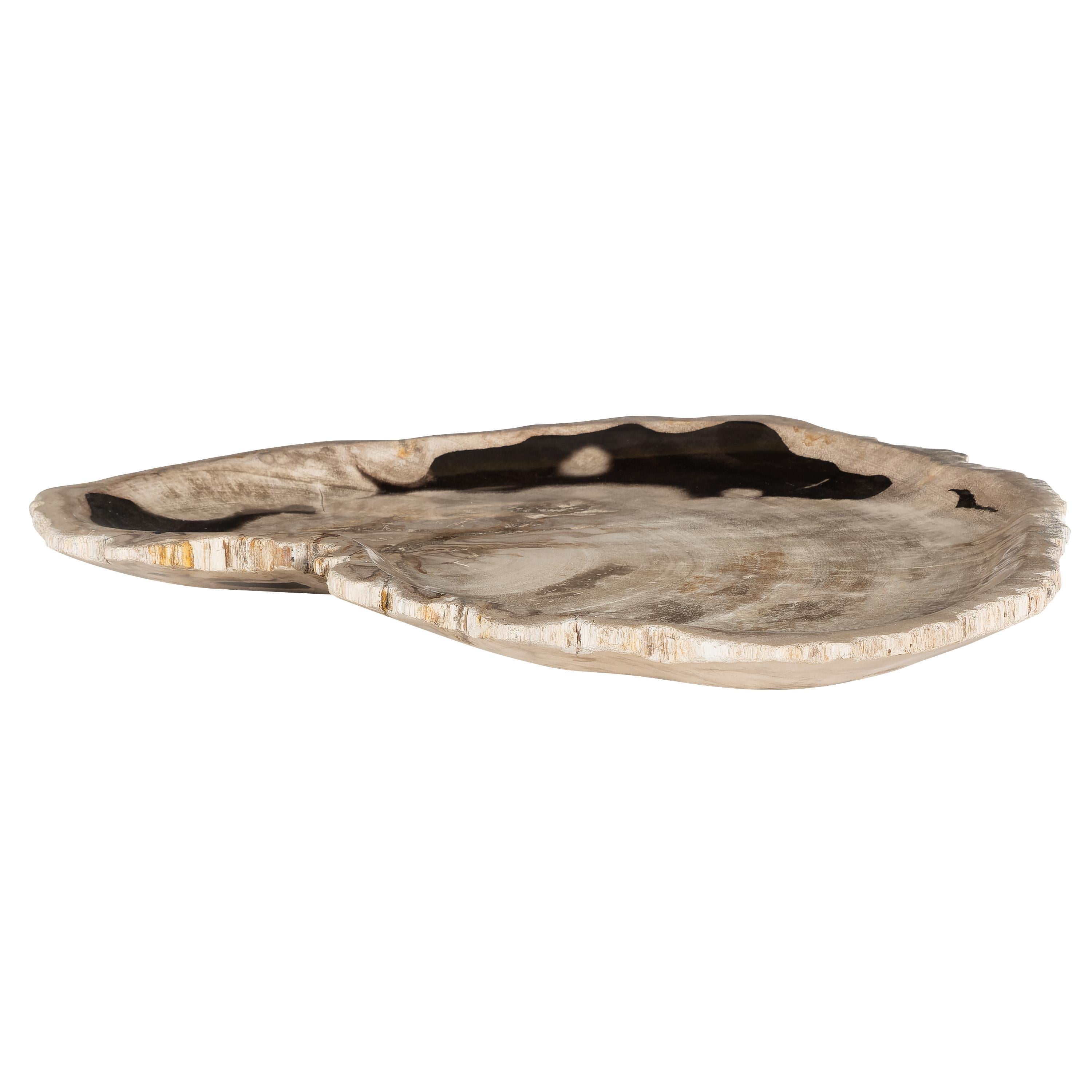 Dekoratif Bowl Fosil Ağaç -43 cm x 30 cm  x 4 cm