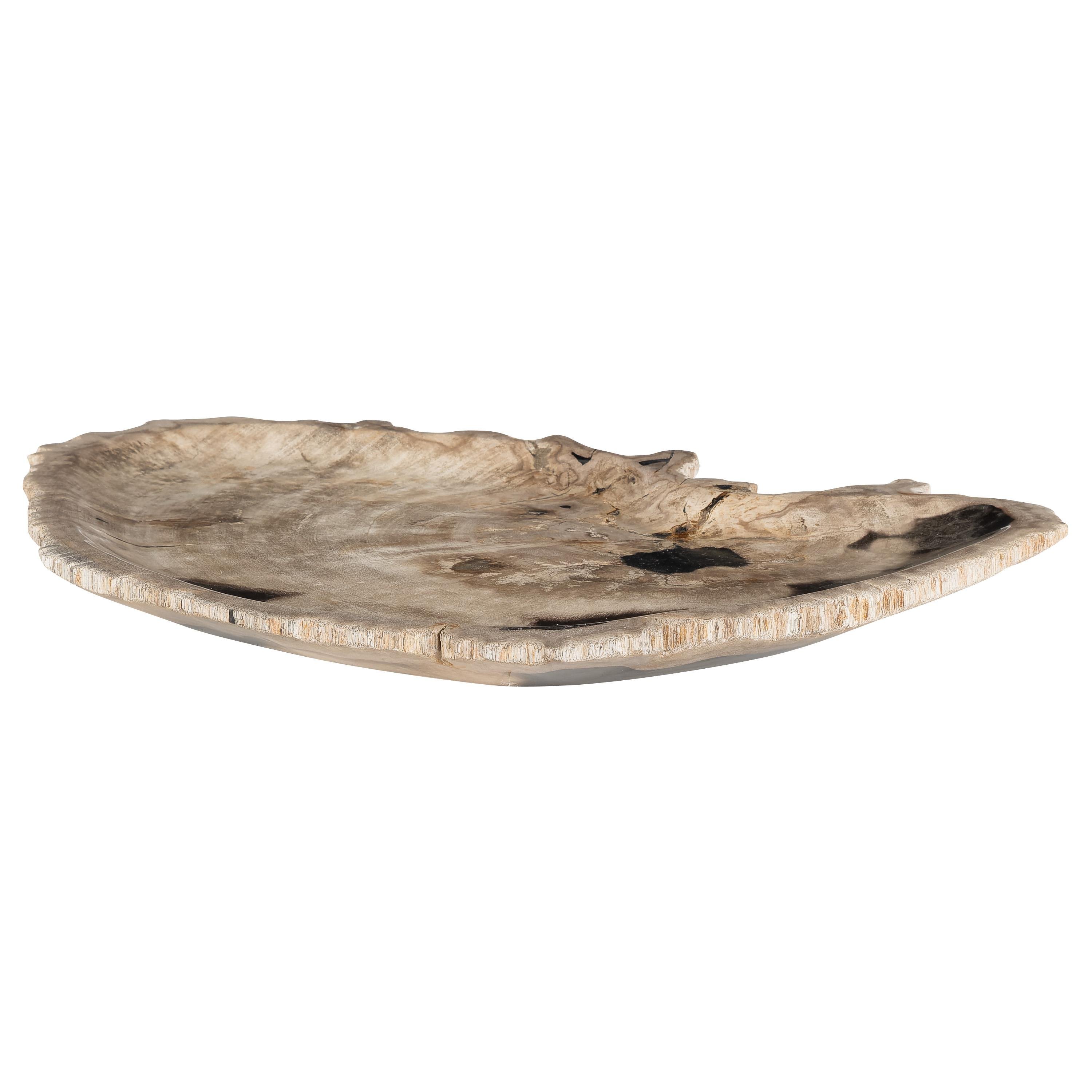 Dekoratif Bowl Fosil Ağaç -43 cm x 30 cm  x 4 cm