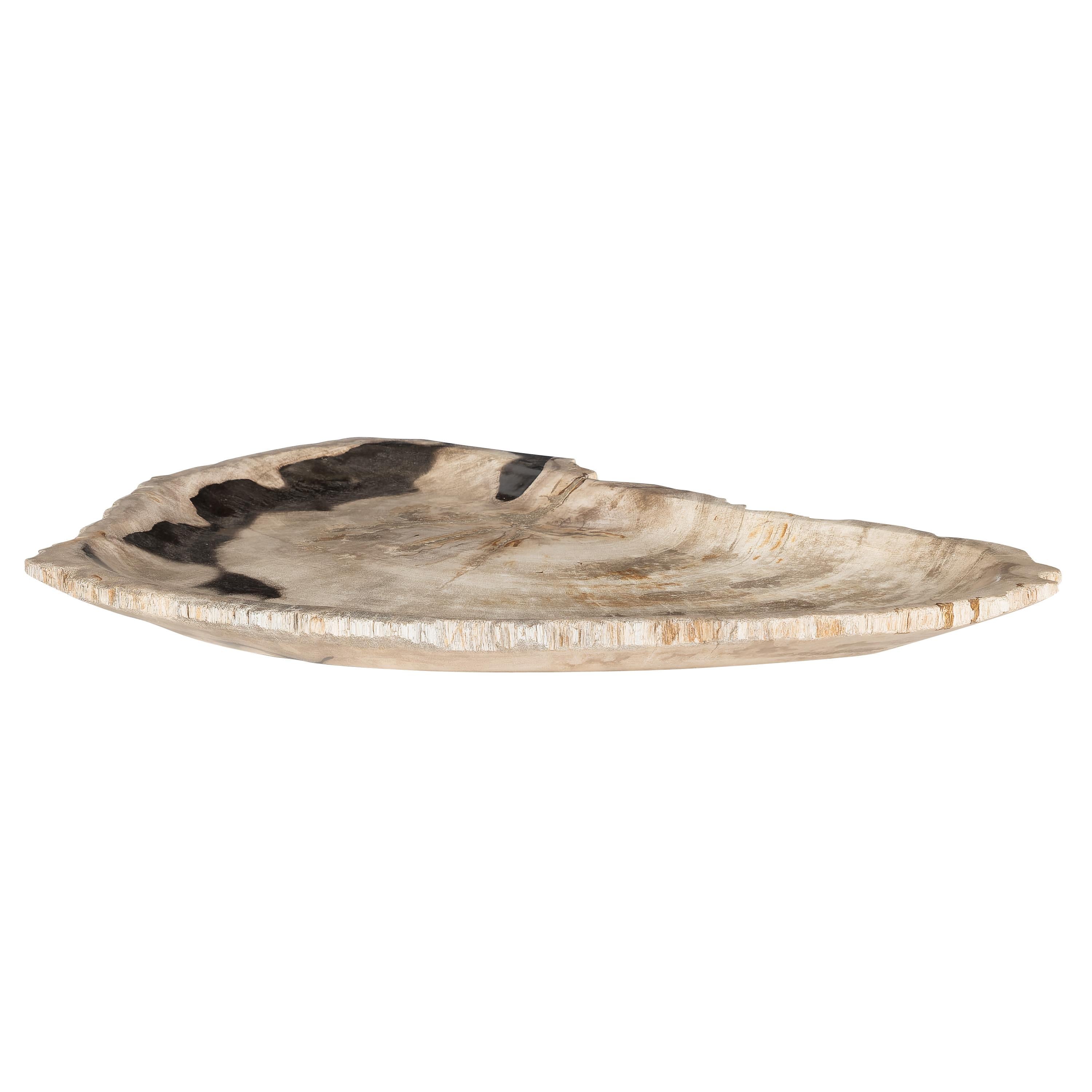 Dekoratif Bowl Fosil Ağaç -43 cm x 30 cm  x 4 cm