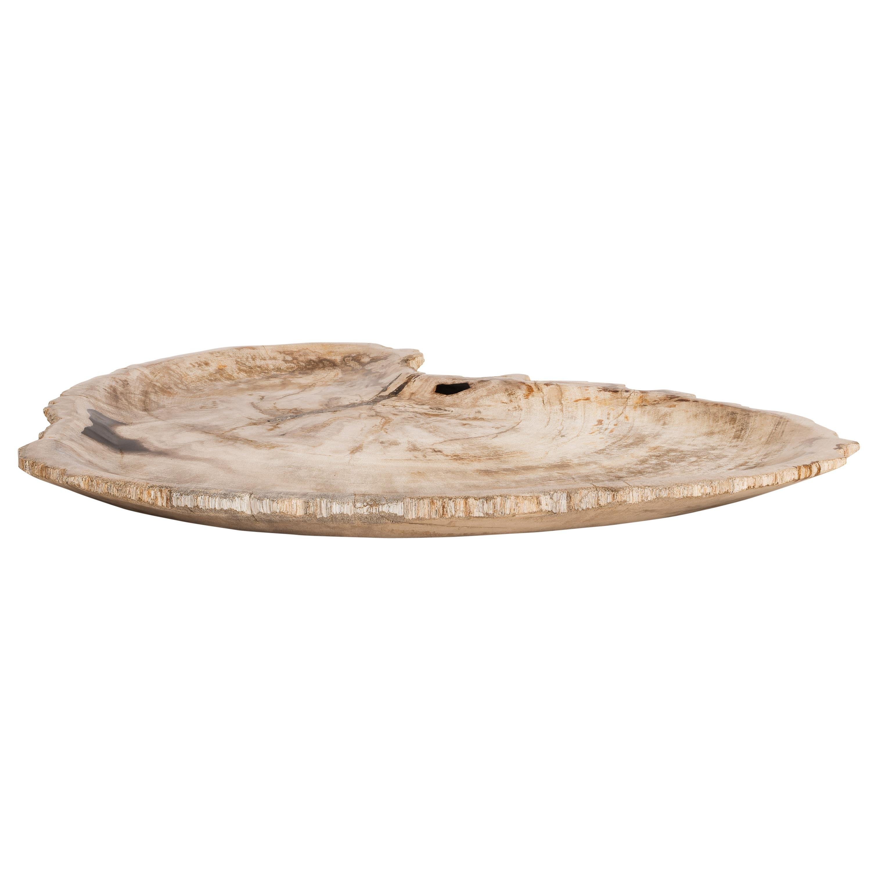 Dekoratif Bowl Fosil Ağaç -43 cm x 30 cm  x 4 cm