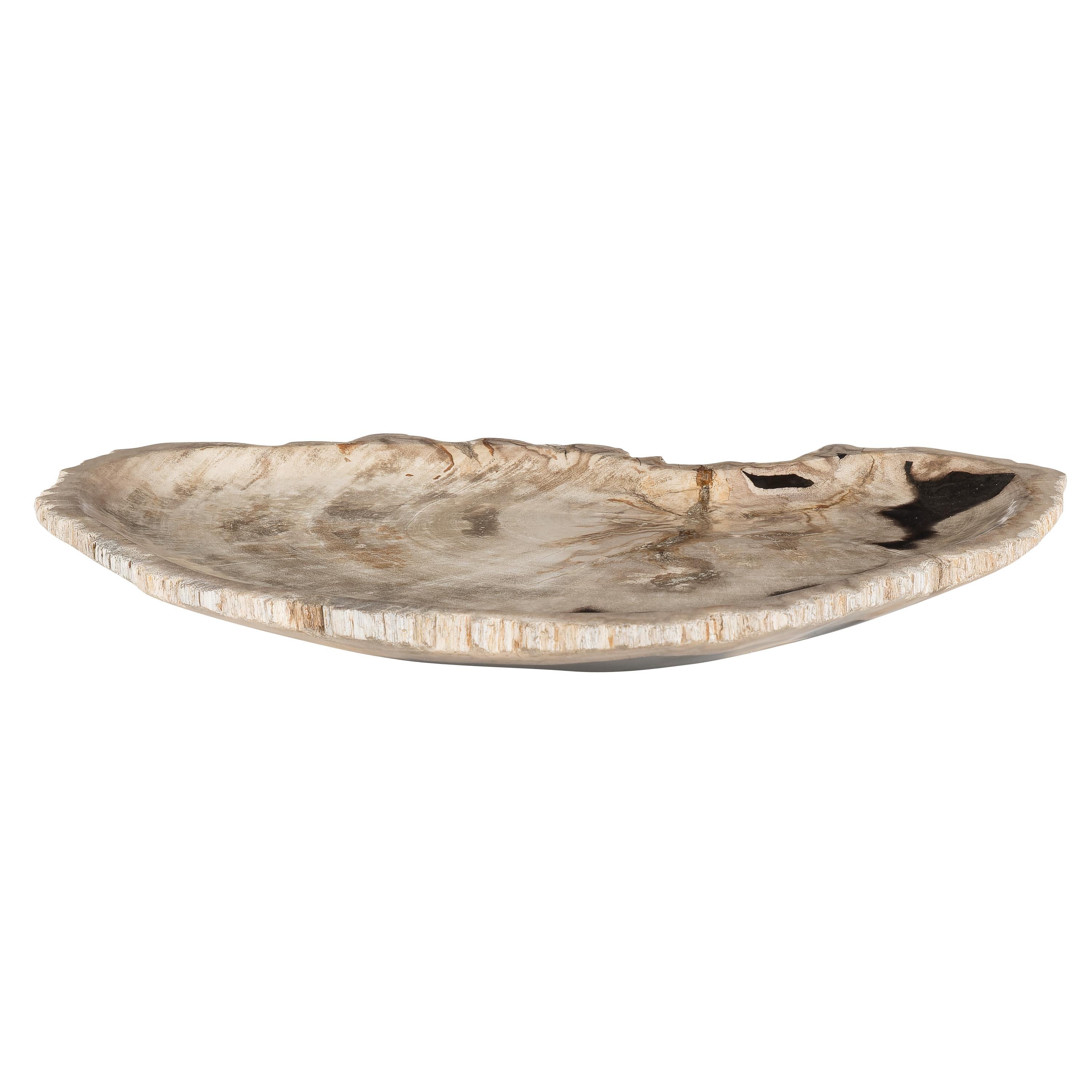 Dekoratif Bowl Fosil Ağaç -43 cm x 30 cm  x 4 cm