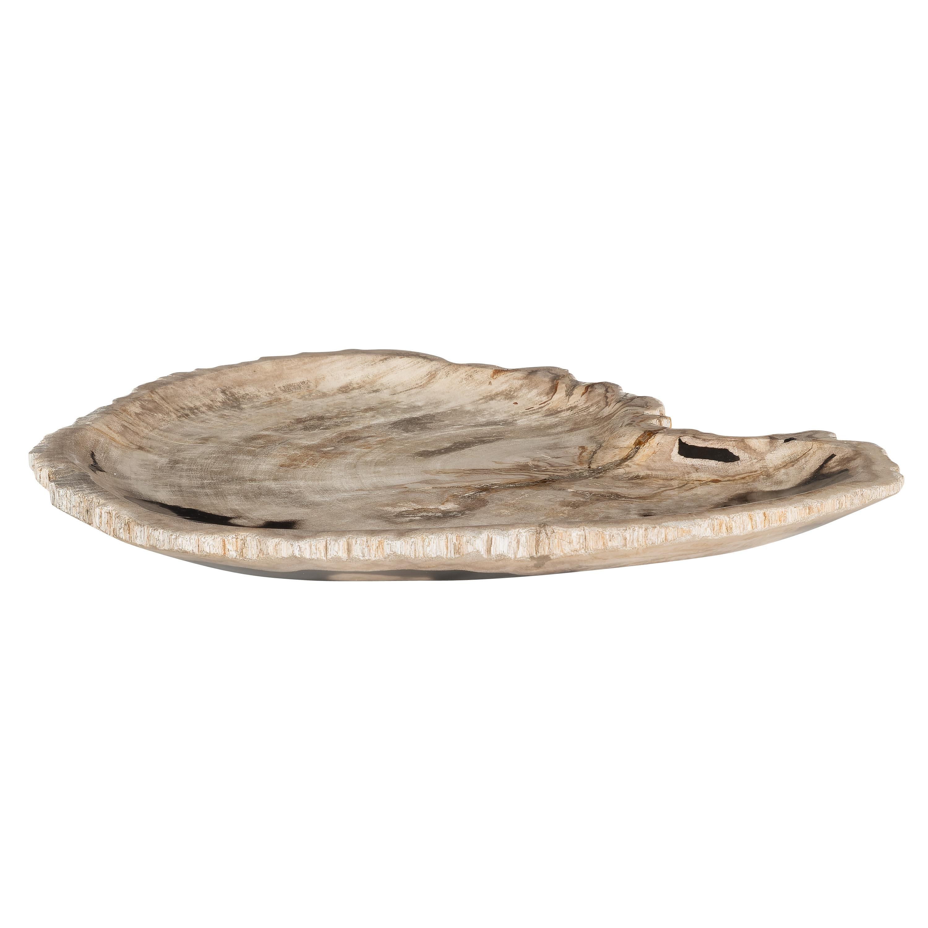 Dekoratif Bowl Fosil Ağaç -43 cm x 30 cm  x 4 cm