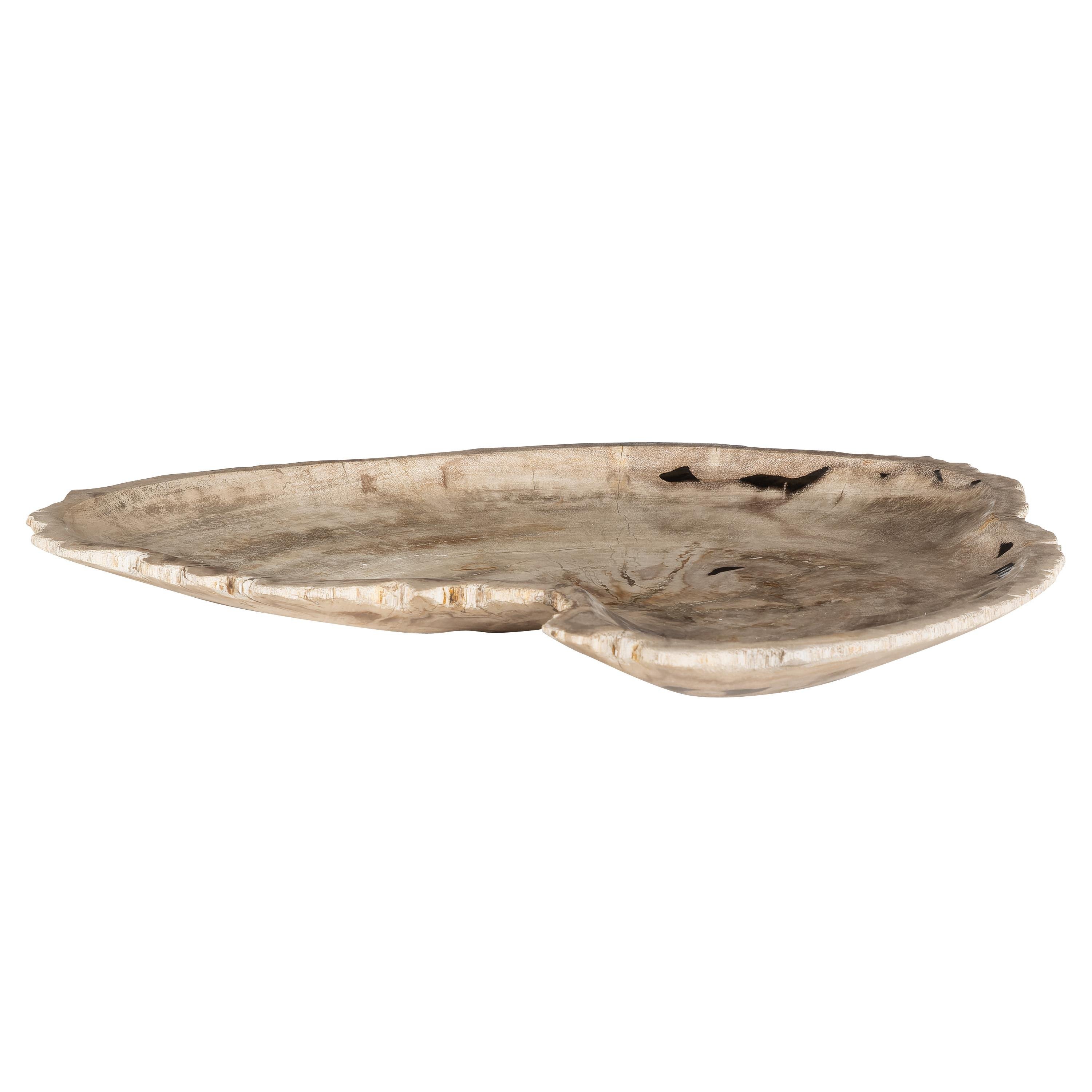 Dekoratif Bowl Fosil Ağaç -43 cm x 30 cm  x 4 cm
