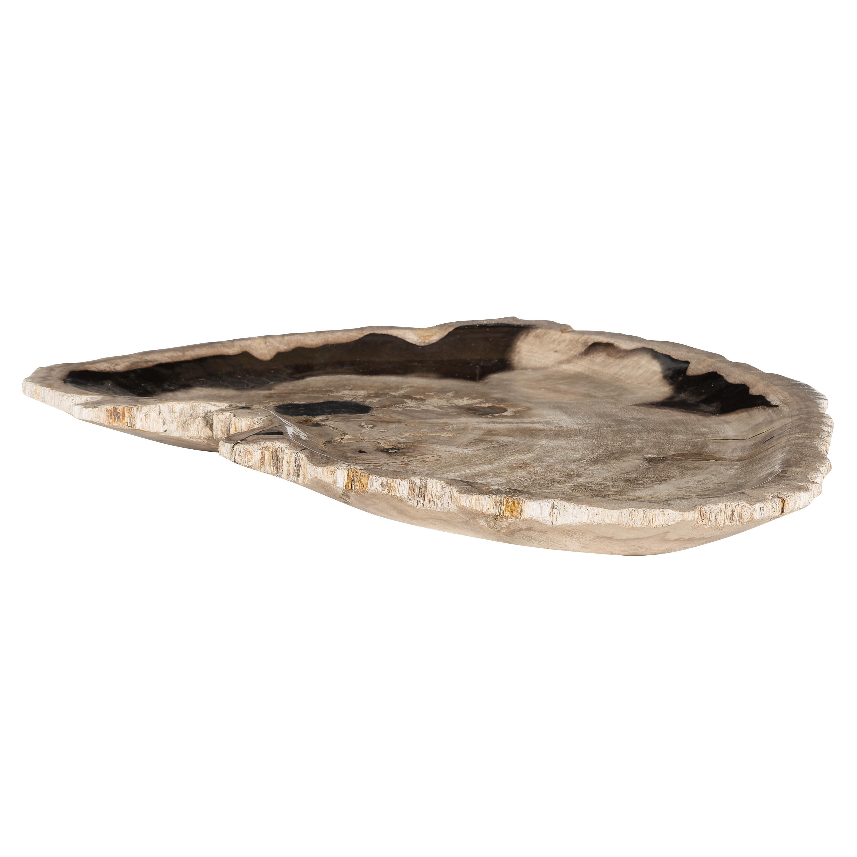 Dekoratif Bowl Fosil Ağaç -43 cm x 30 cm  x 4 cm